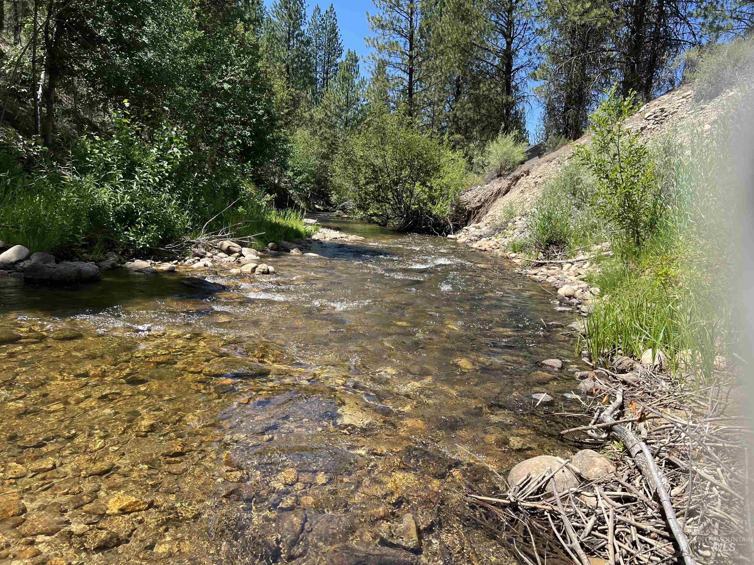 206 Lainey Ln., Idaho City ID 83631
