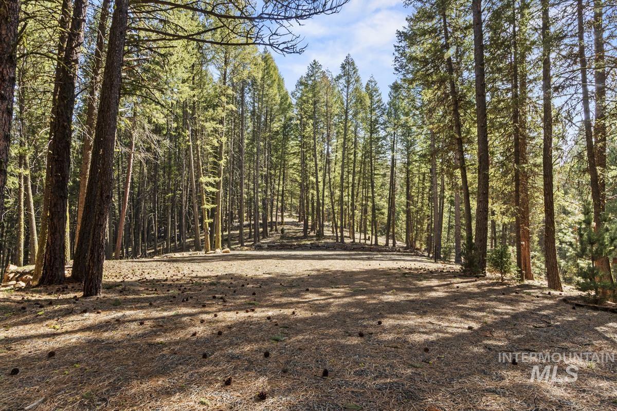 150 Mountain Air Drive, Cascade ID 83611