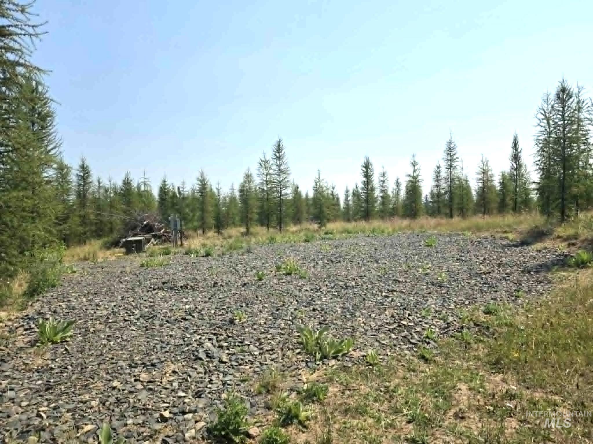 333 Wildwood Drive, Orofino ID 83544