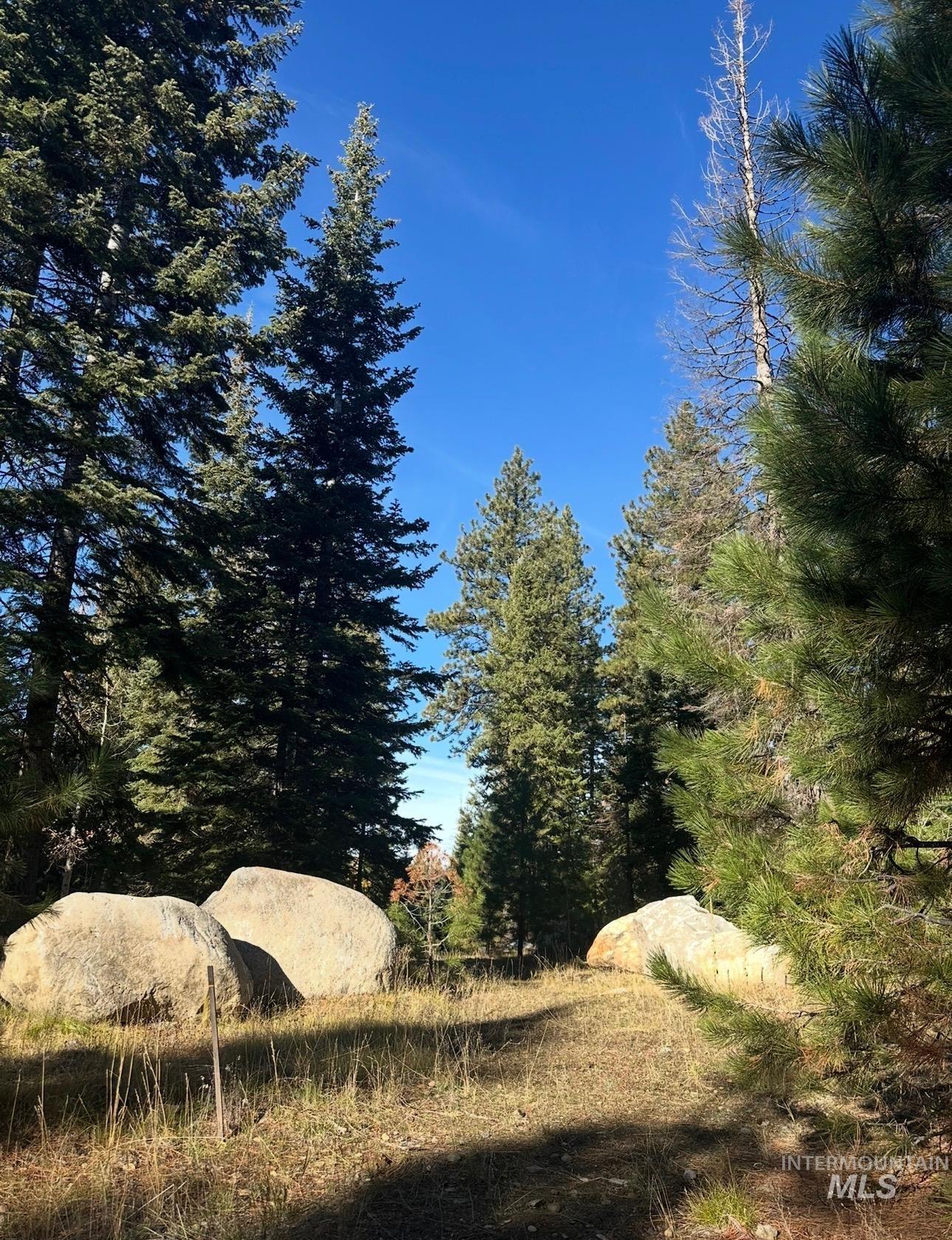 TBD Heavens Gate Ct., McCall ID 83638