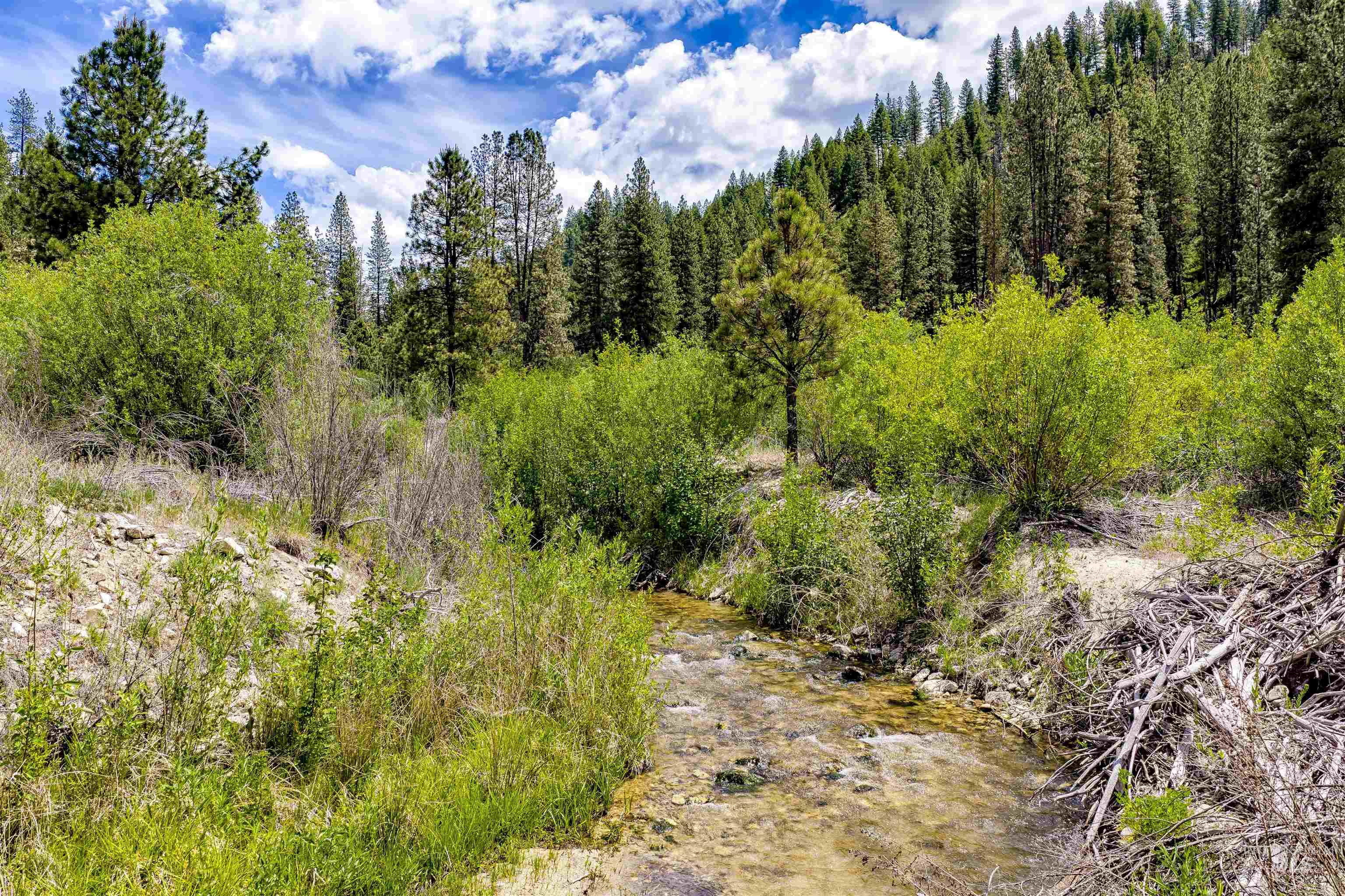 Napias Lot 4, Boise ID 83716