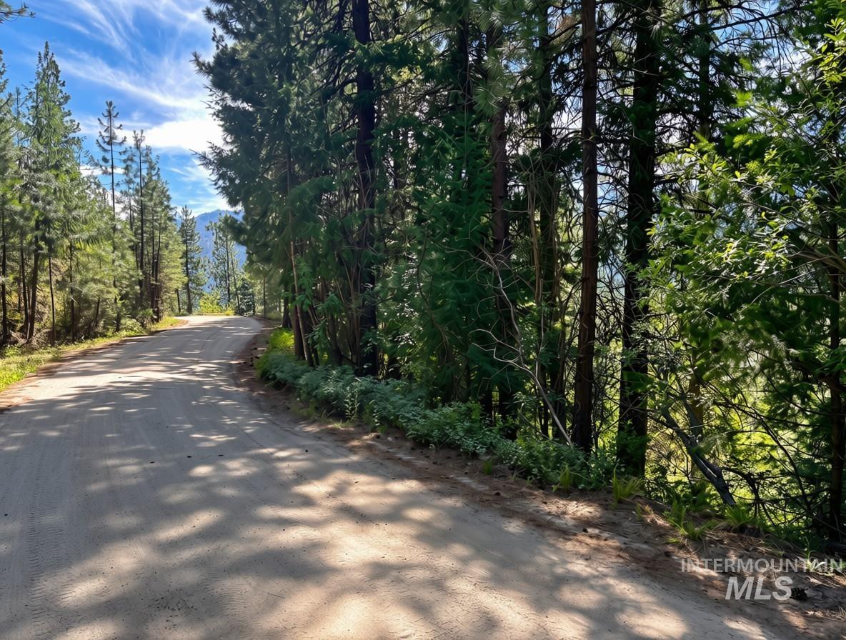 459 Collier View, Cascade ID 83611