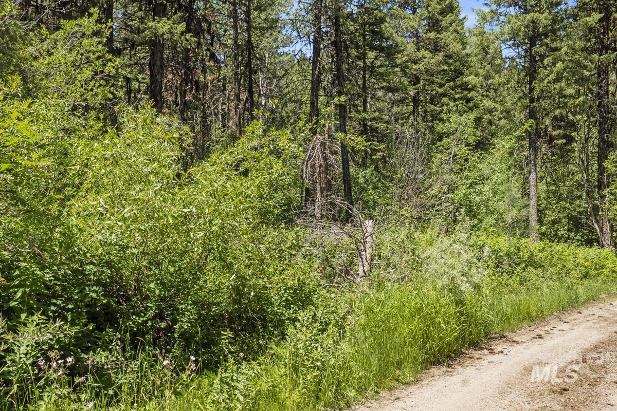 513 Susan Road, Cascade ID 83611