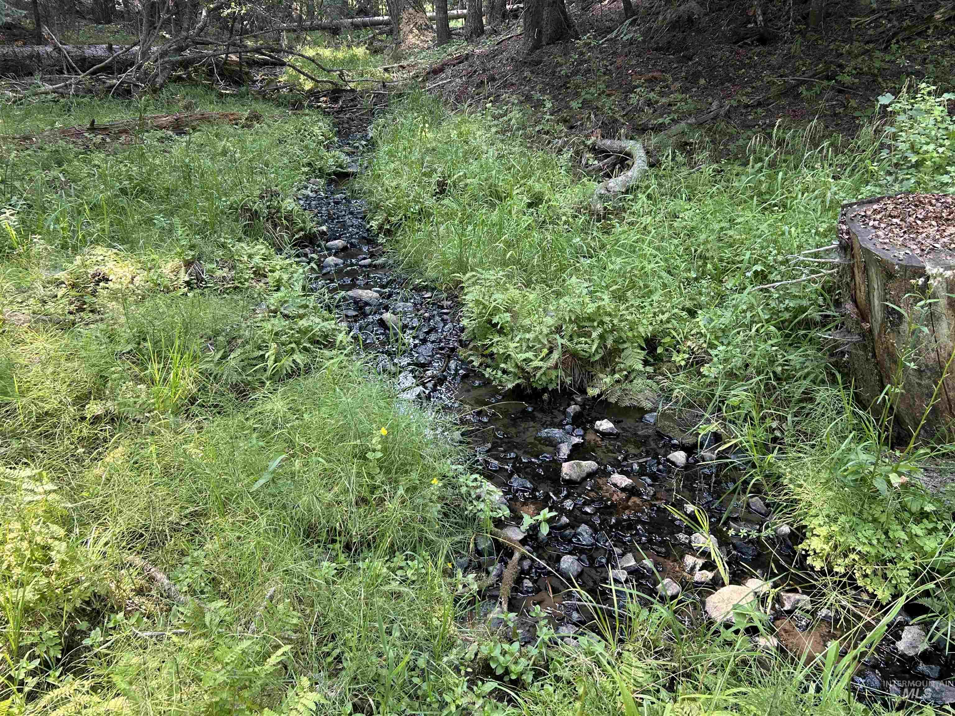 TBD Farrens Creek  Ln, Grangeville ID 83530