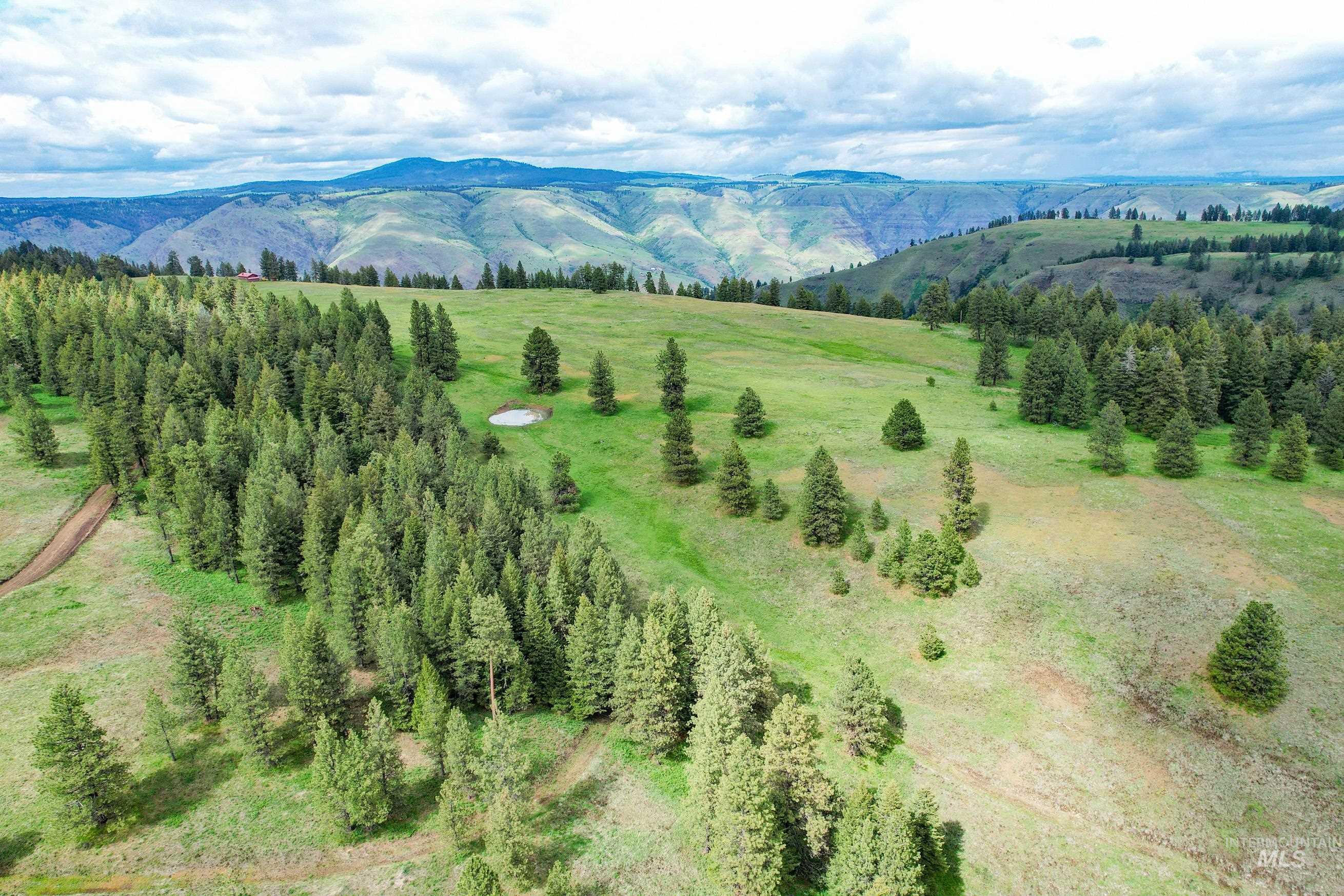 205 Burnt Creek Road, CottonWood ID 83522