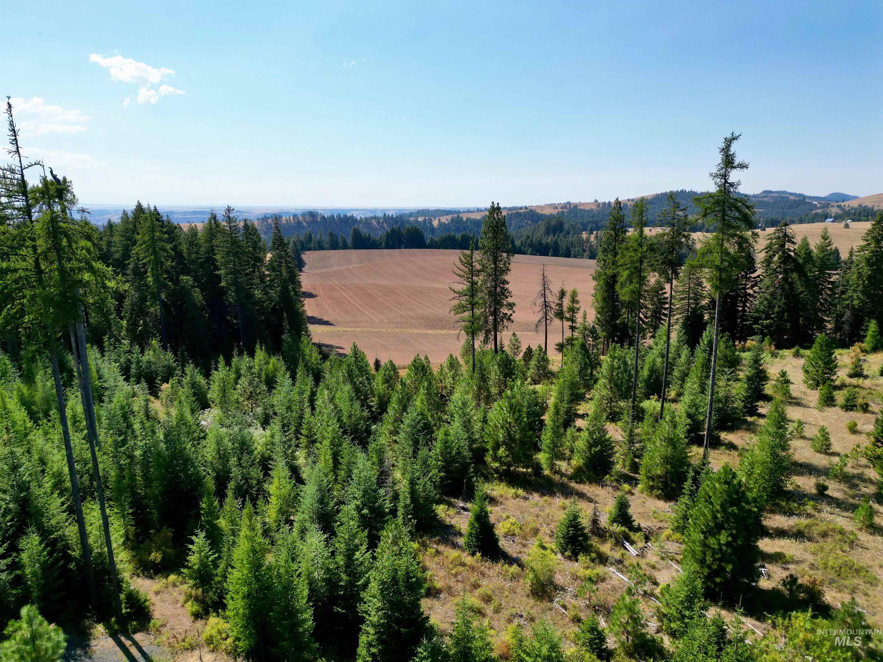 TBD Parcel 1 Peaceful Valley Rd, Kamiah ID 83536