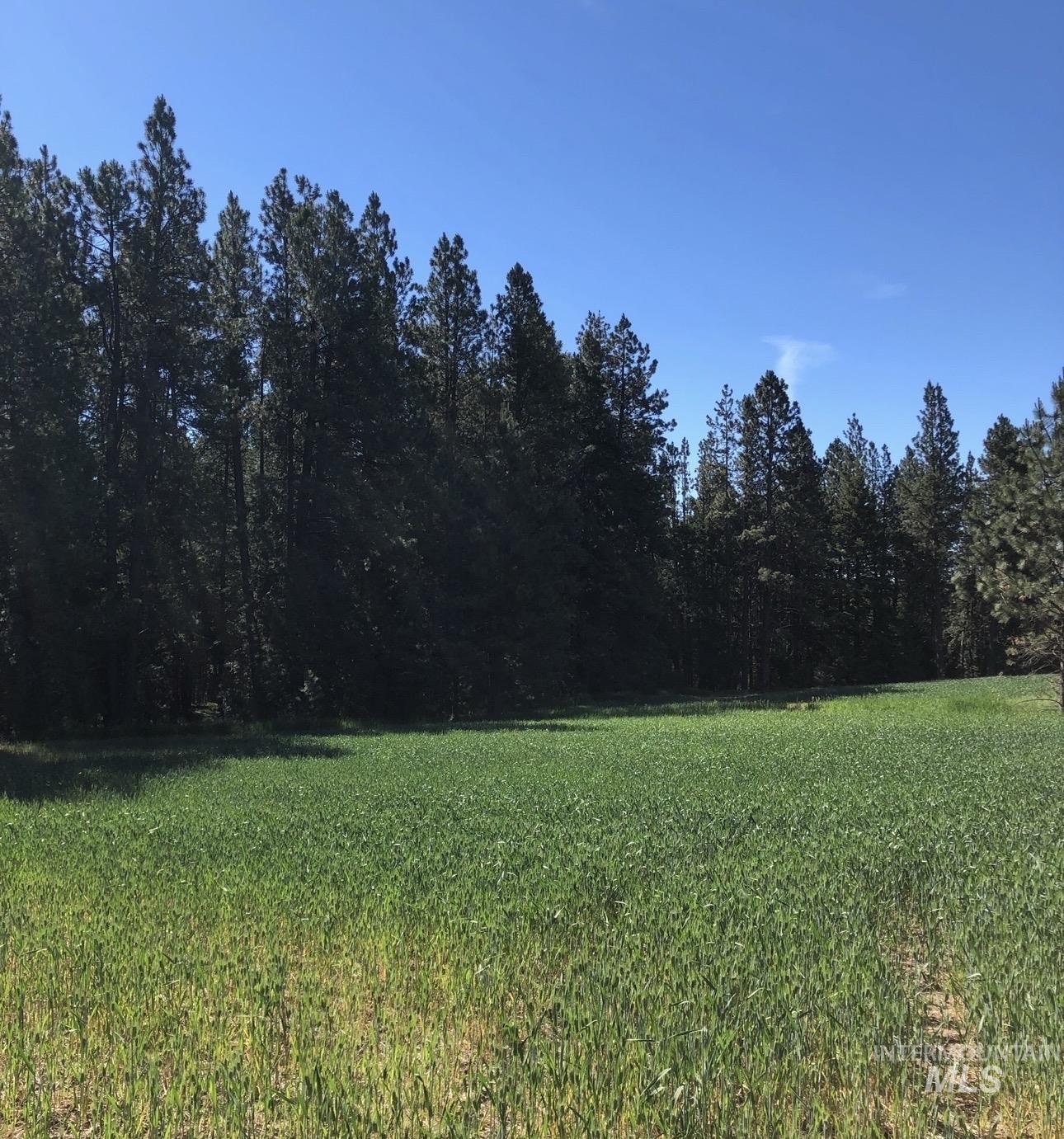 TBD Sandhill Rd, Winchester ID 83555