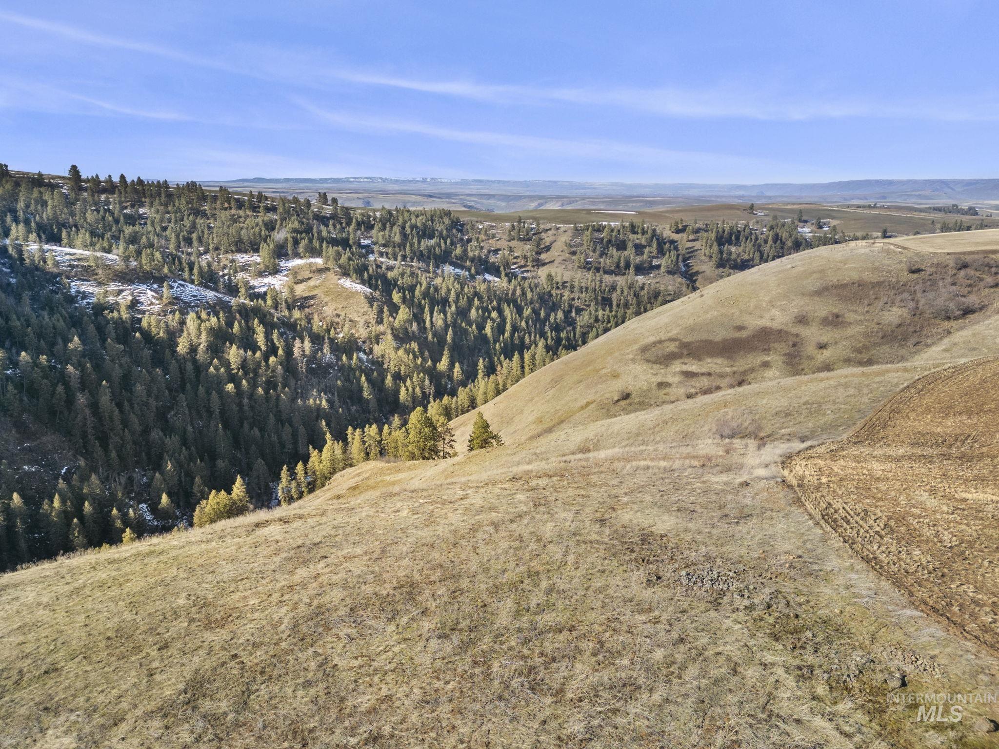 TBD Old Culdesac Road, Culdesac ID 83524