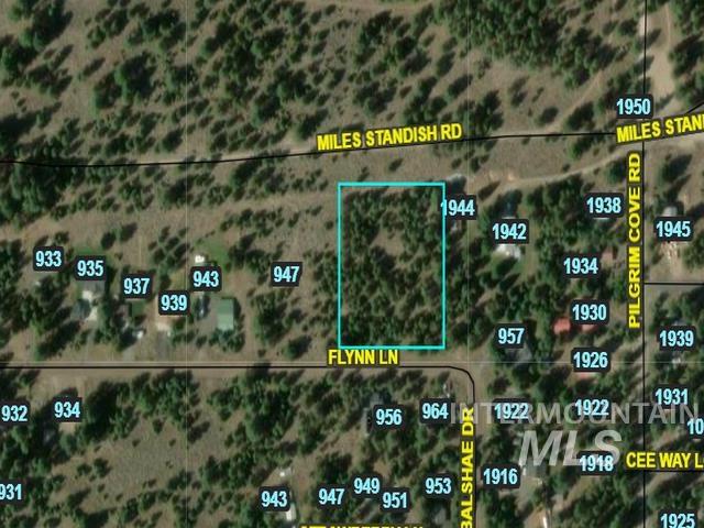 Flynn Ln, McCall ID 83638