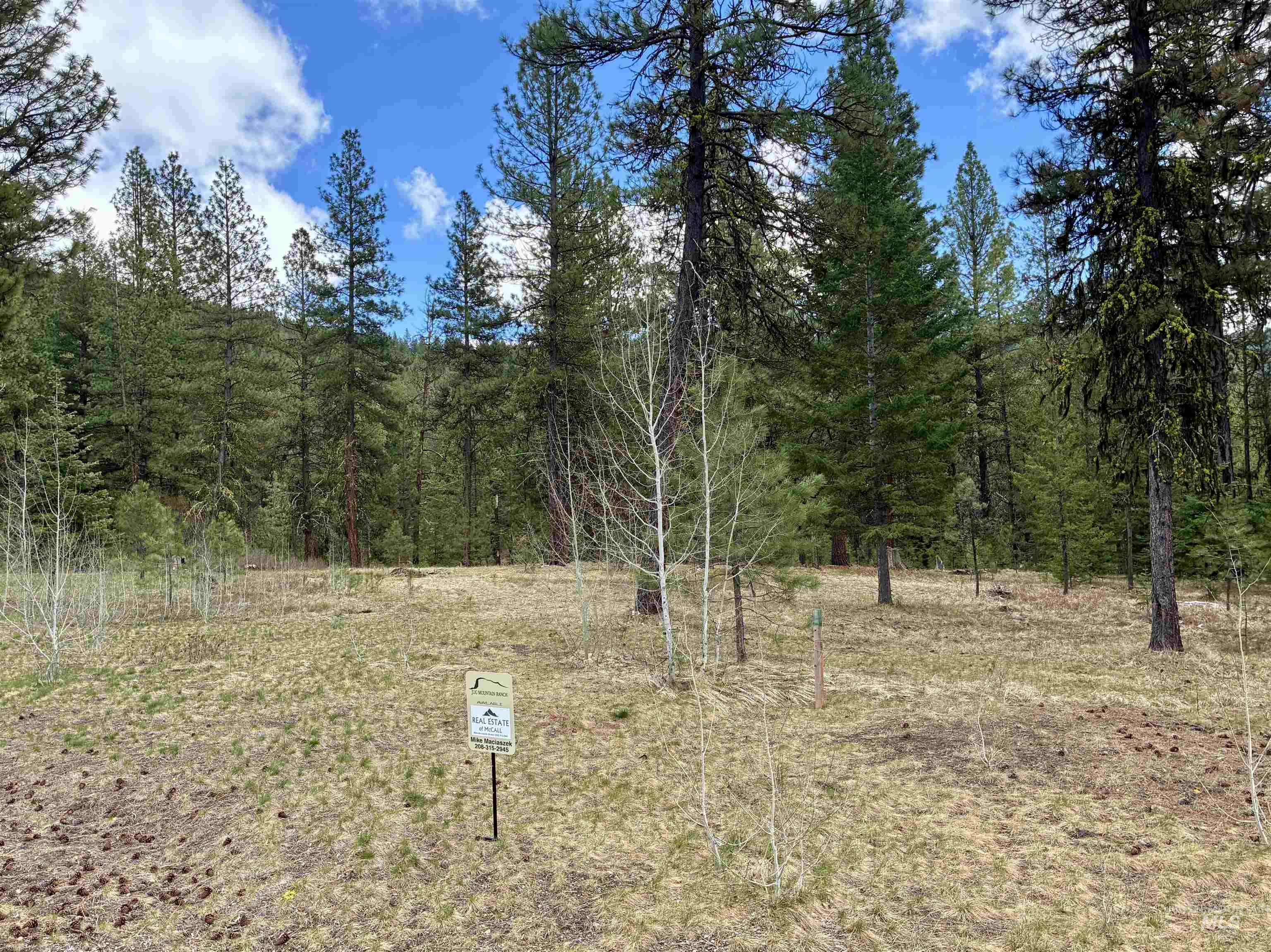 31 Vernon Ct, McCall ID 83638