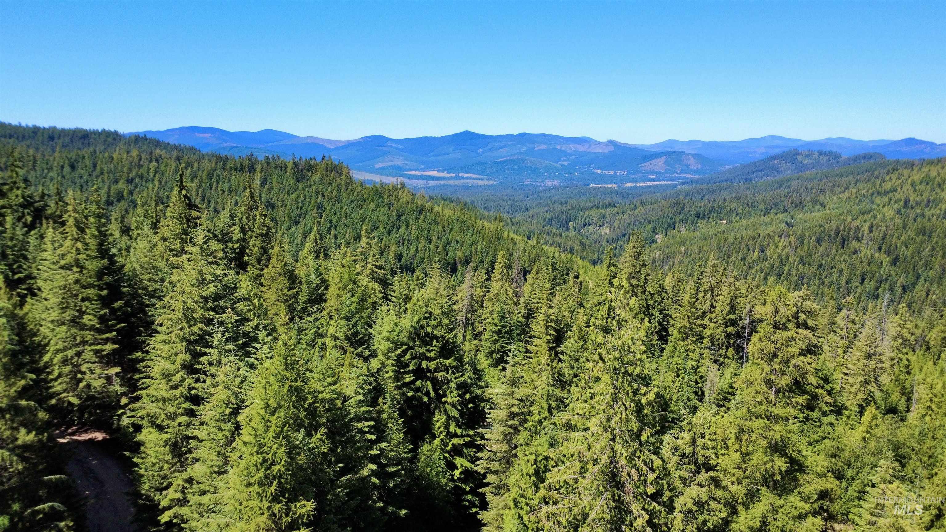 1494 & 1432 N Alpine, Fernwood ID 83830