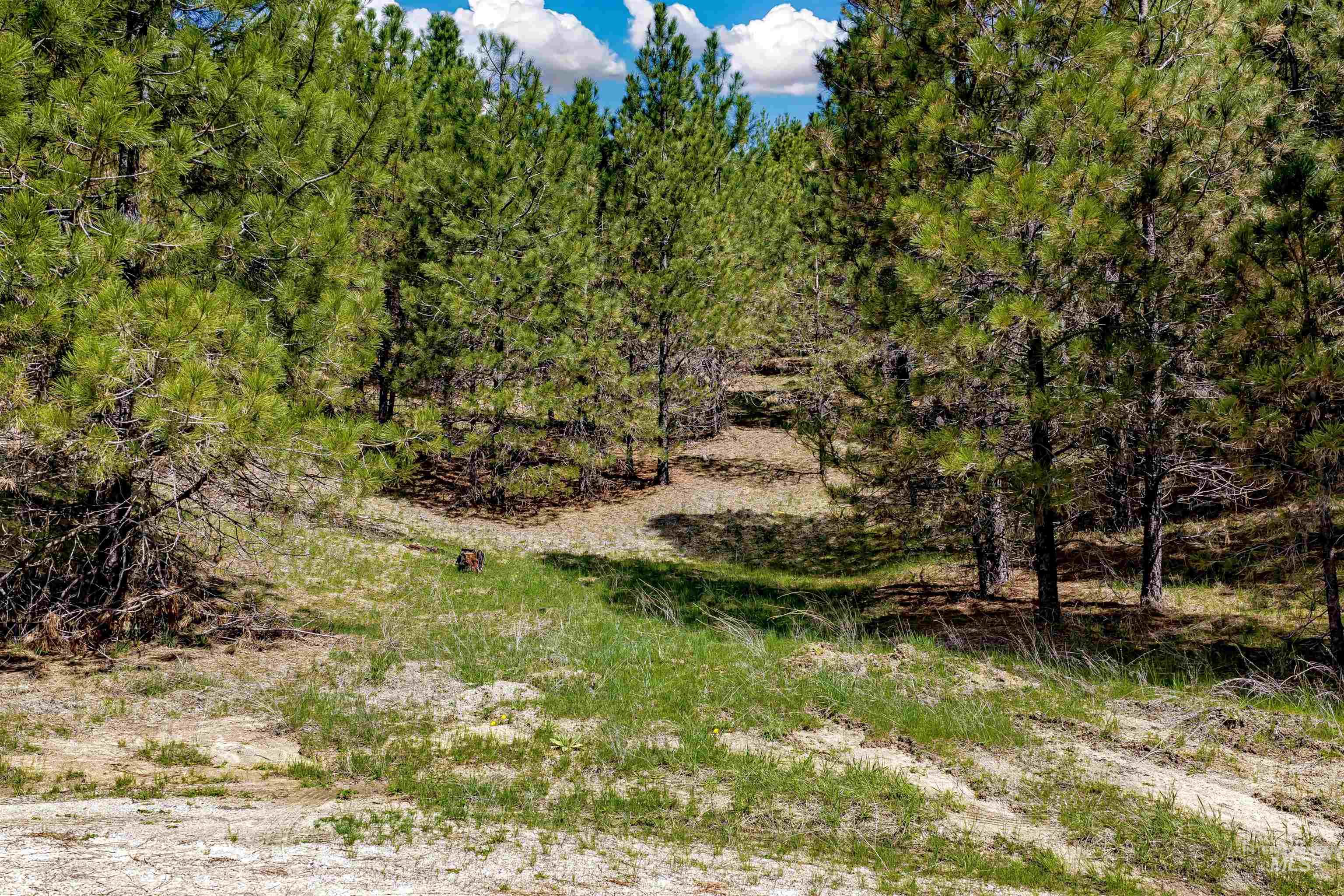 TBD Trails End Way, Boise ID 83716