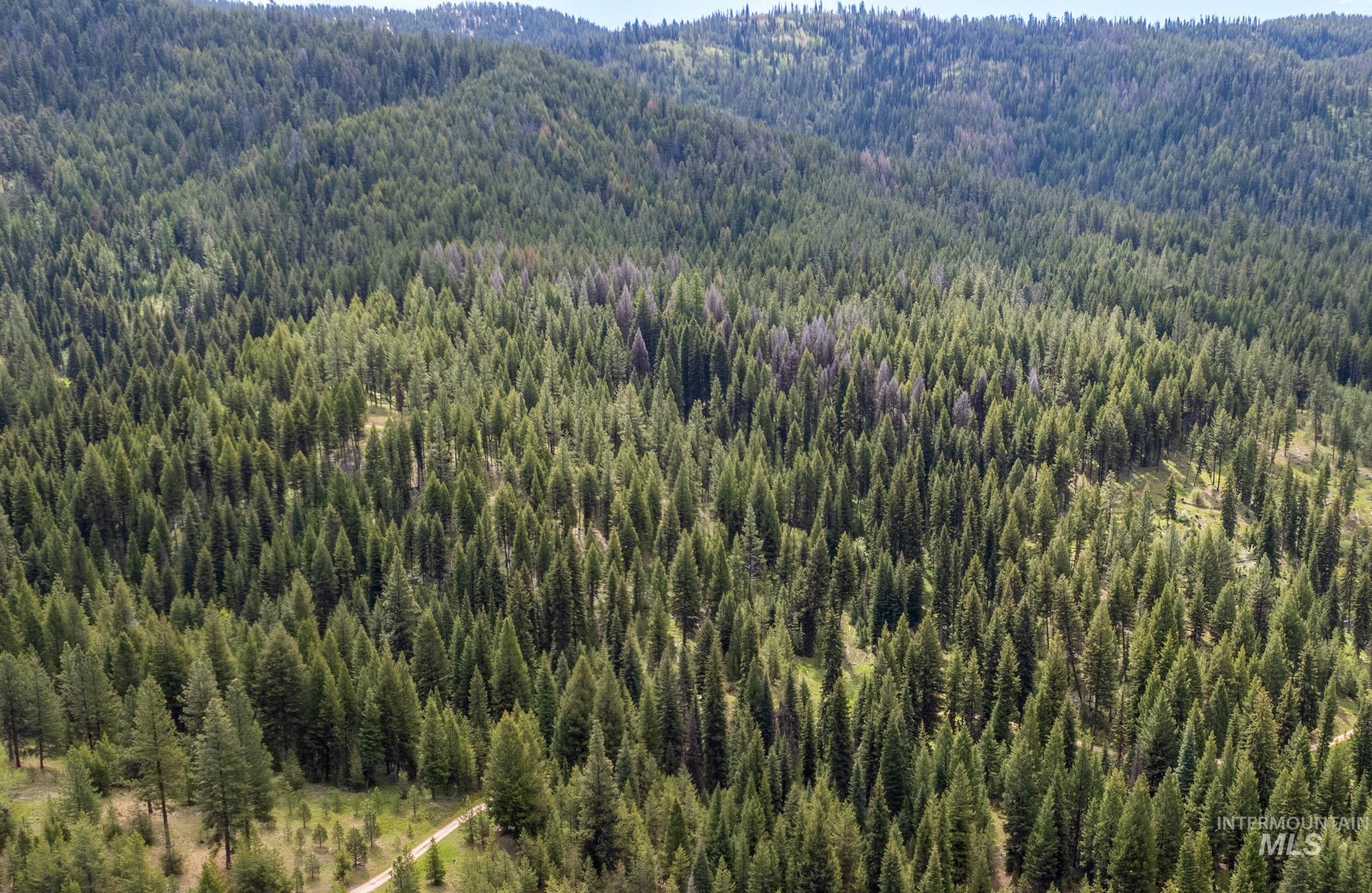 TBD 42 Clear Creek Road, Cascade ID 83611