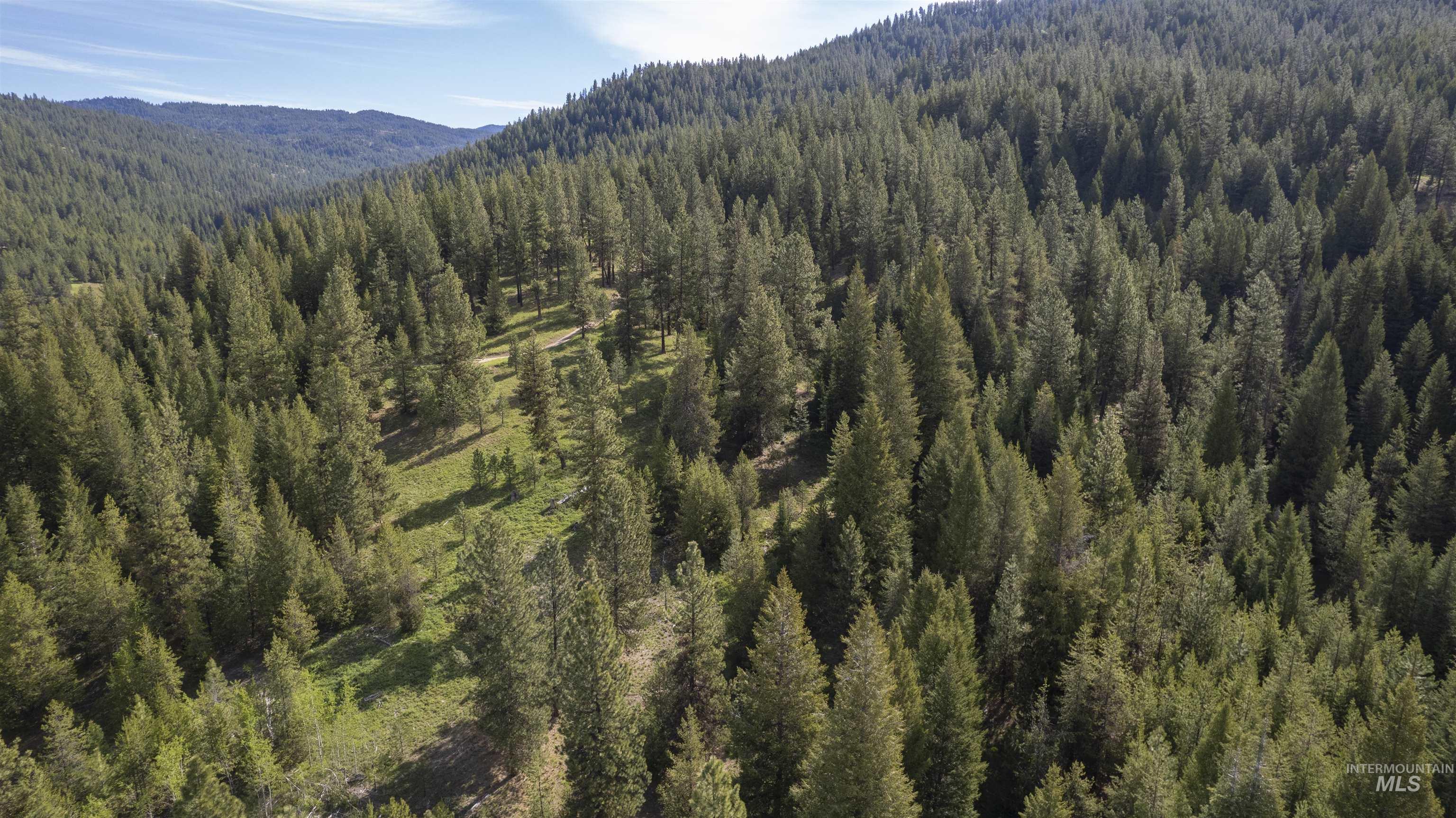 TBD 34 Clear Creek Road, Cascade ID 83611