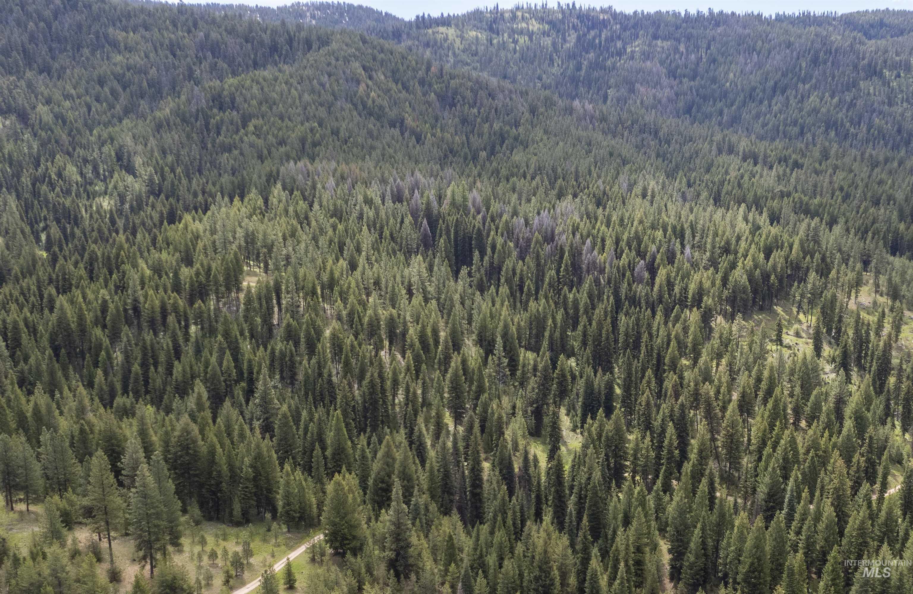 TBD 38 Clear Creek Road, Cascade ID 83611