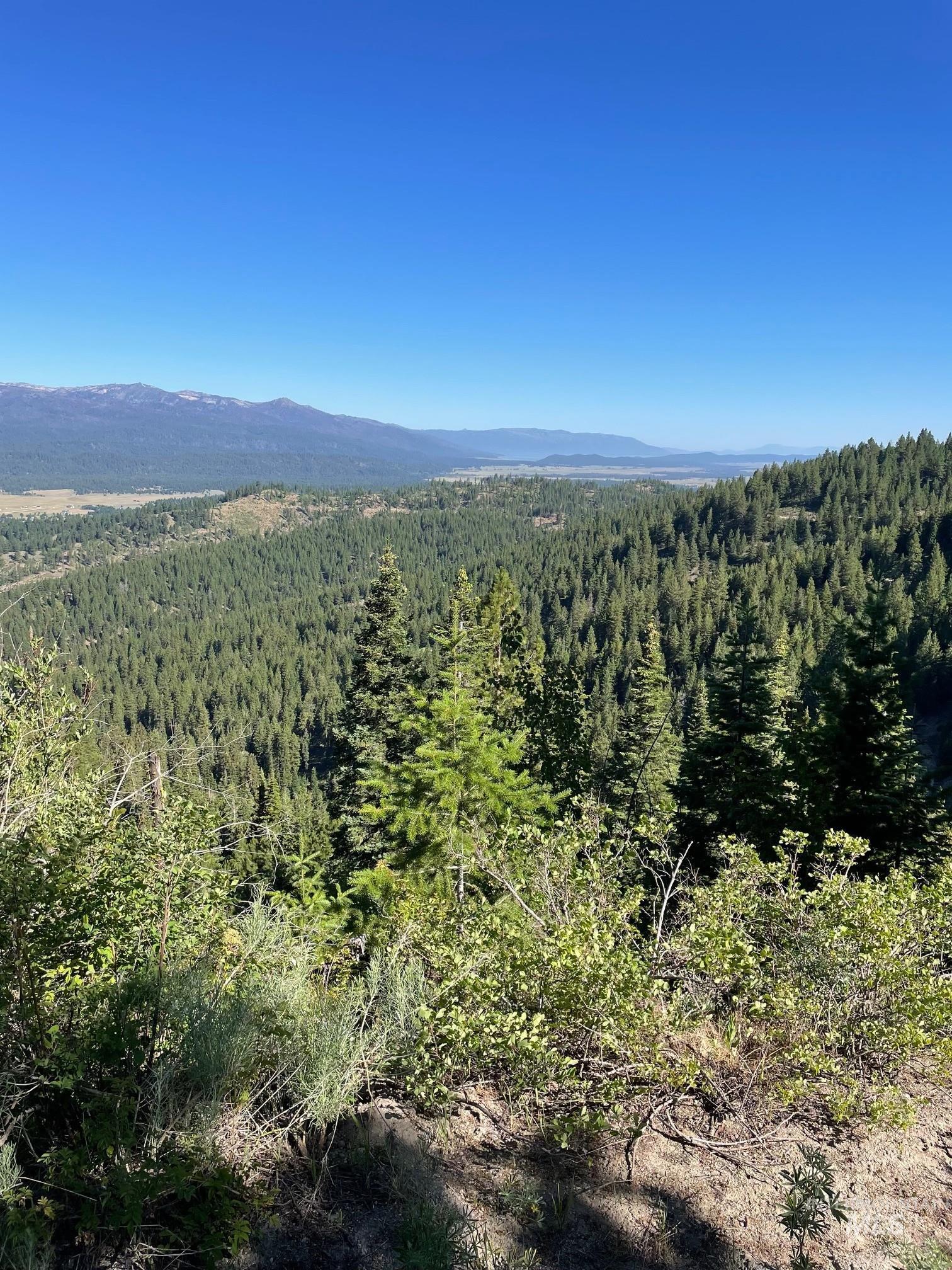 TBD 80 W Fork Creek Rd, Cascade ID 83611