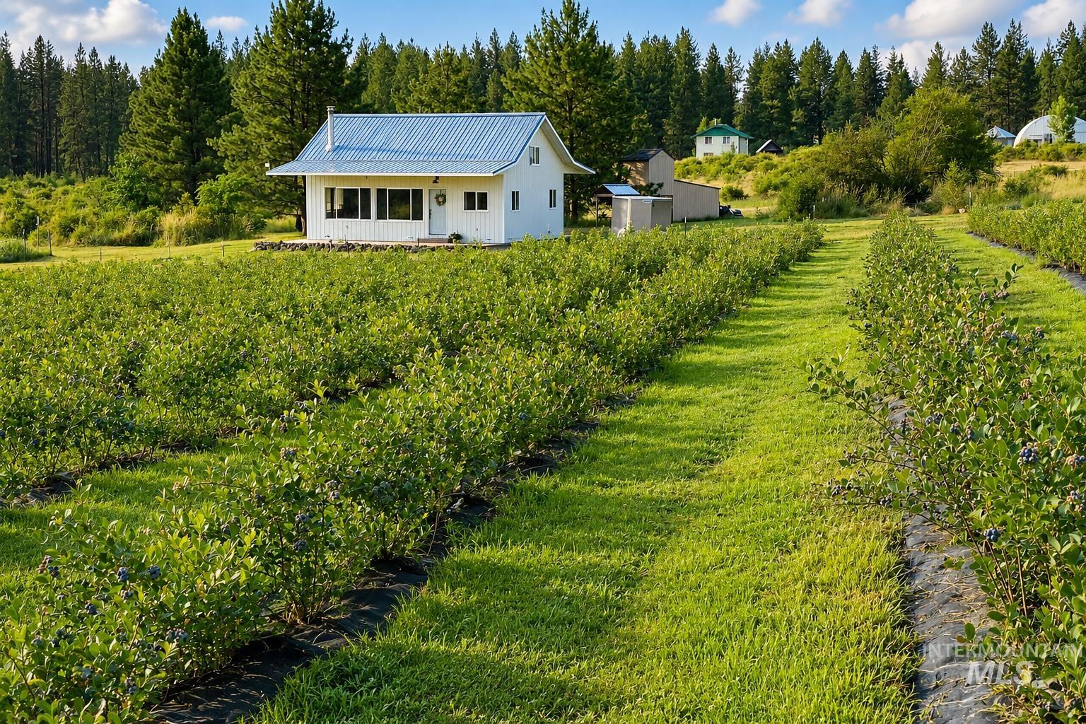 110 Abiding Way, Kooskia ID 83536