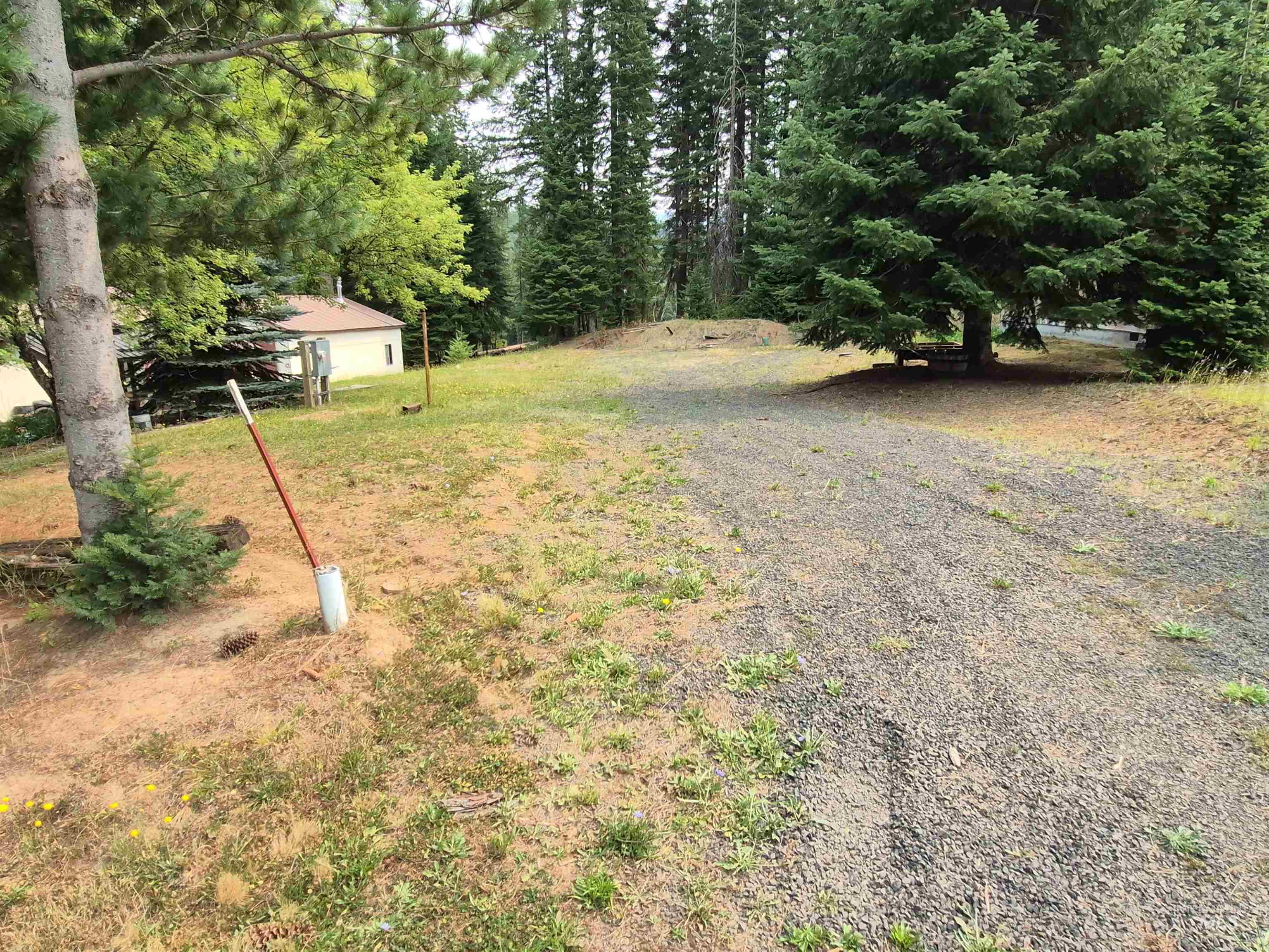 TBD Cottonwood Ave, Pierce ID 83546