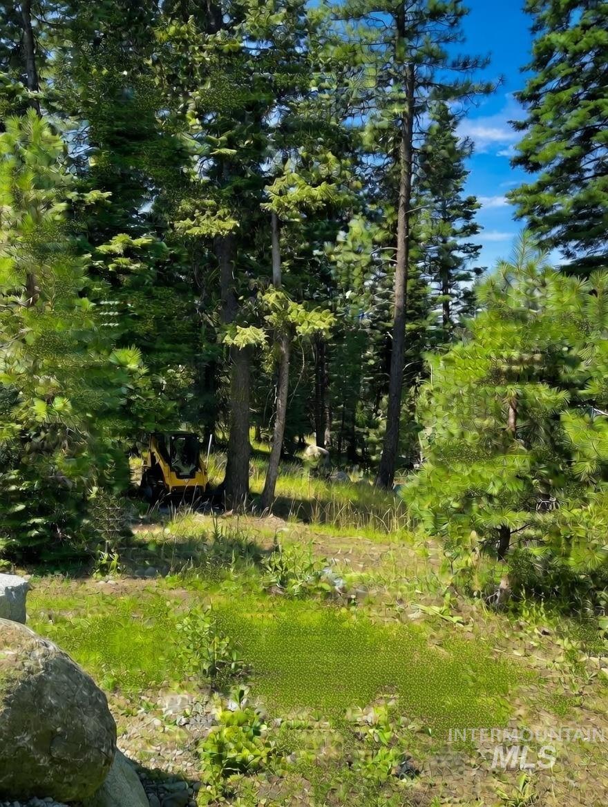 1425 Majestic View Dr, McCall ID 83638