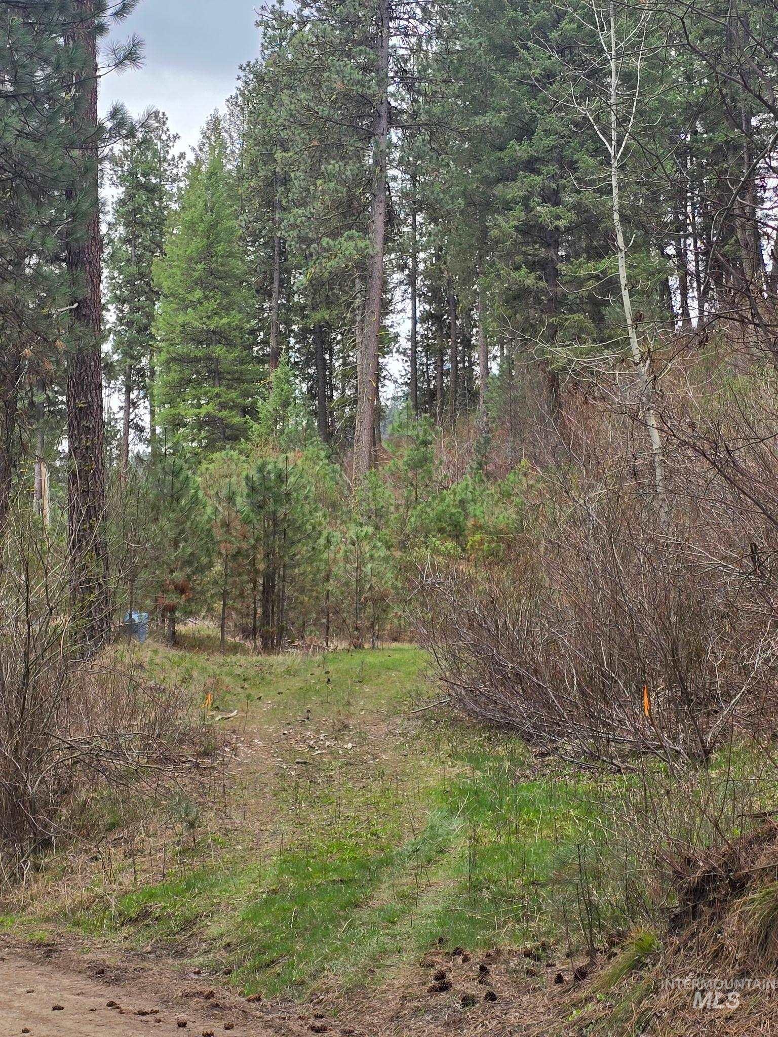 39 Beaver Creek, Boise ID 83716