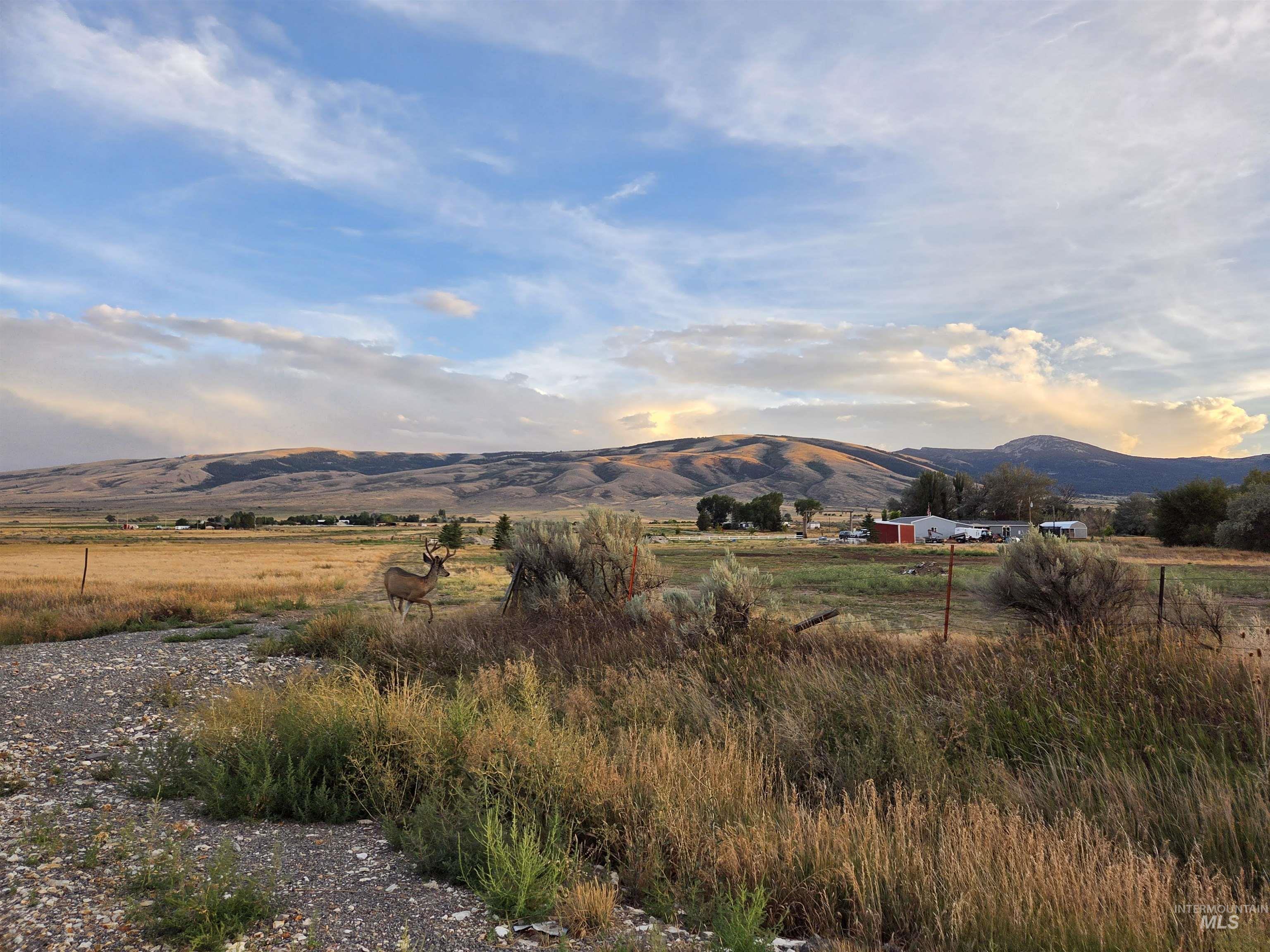 Lot 9, Block 2 Honey Locust, Albion ID 83311