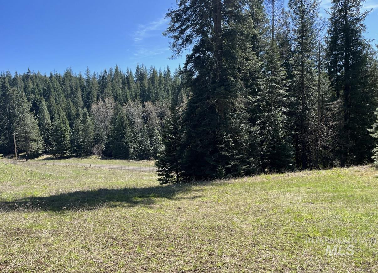 936 Red Fir, Kooskia ID 83539