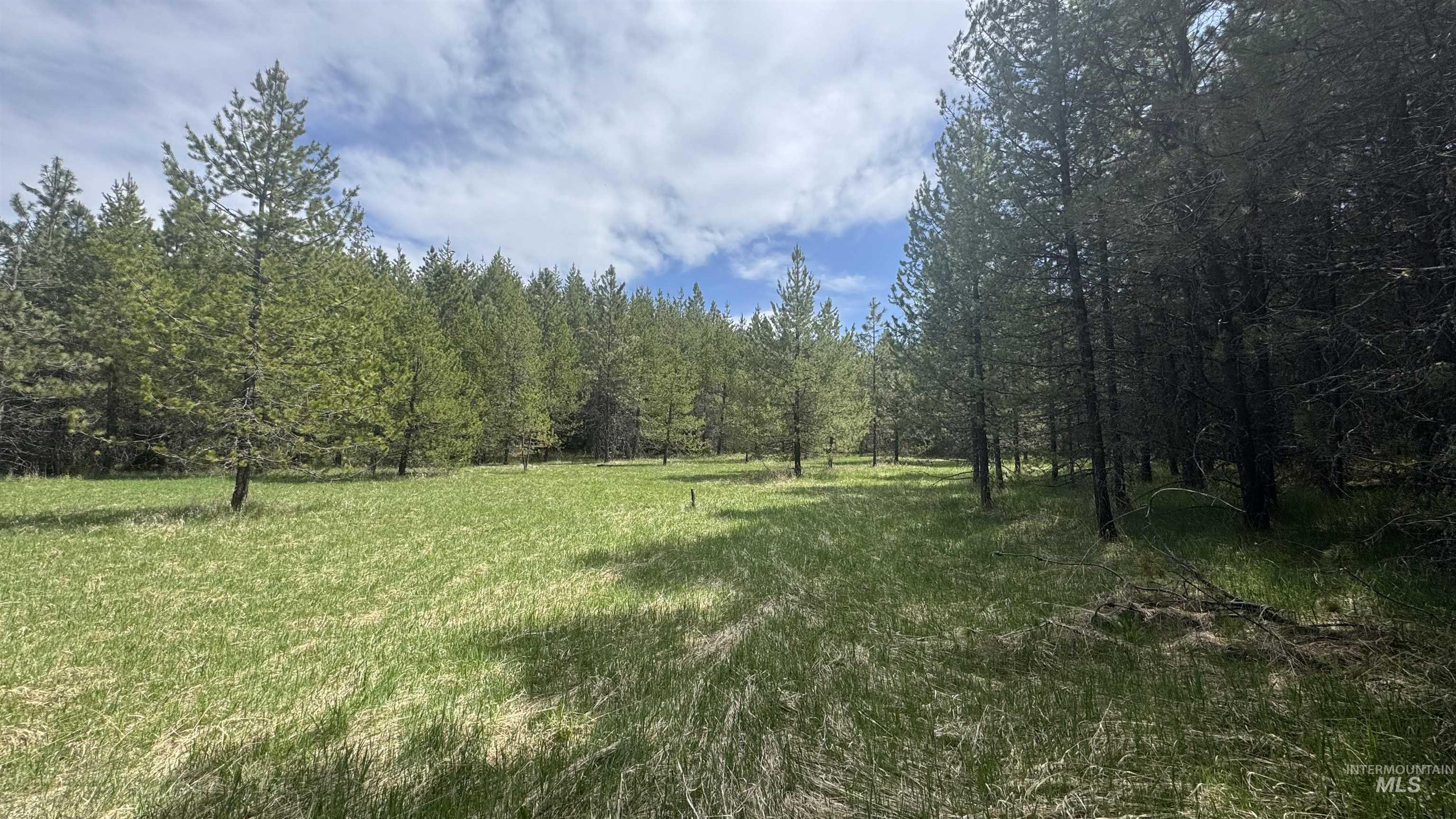 TBD Parcel 17-Bandmill Heights, Orofino ID 83554