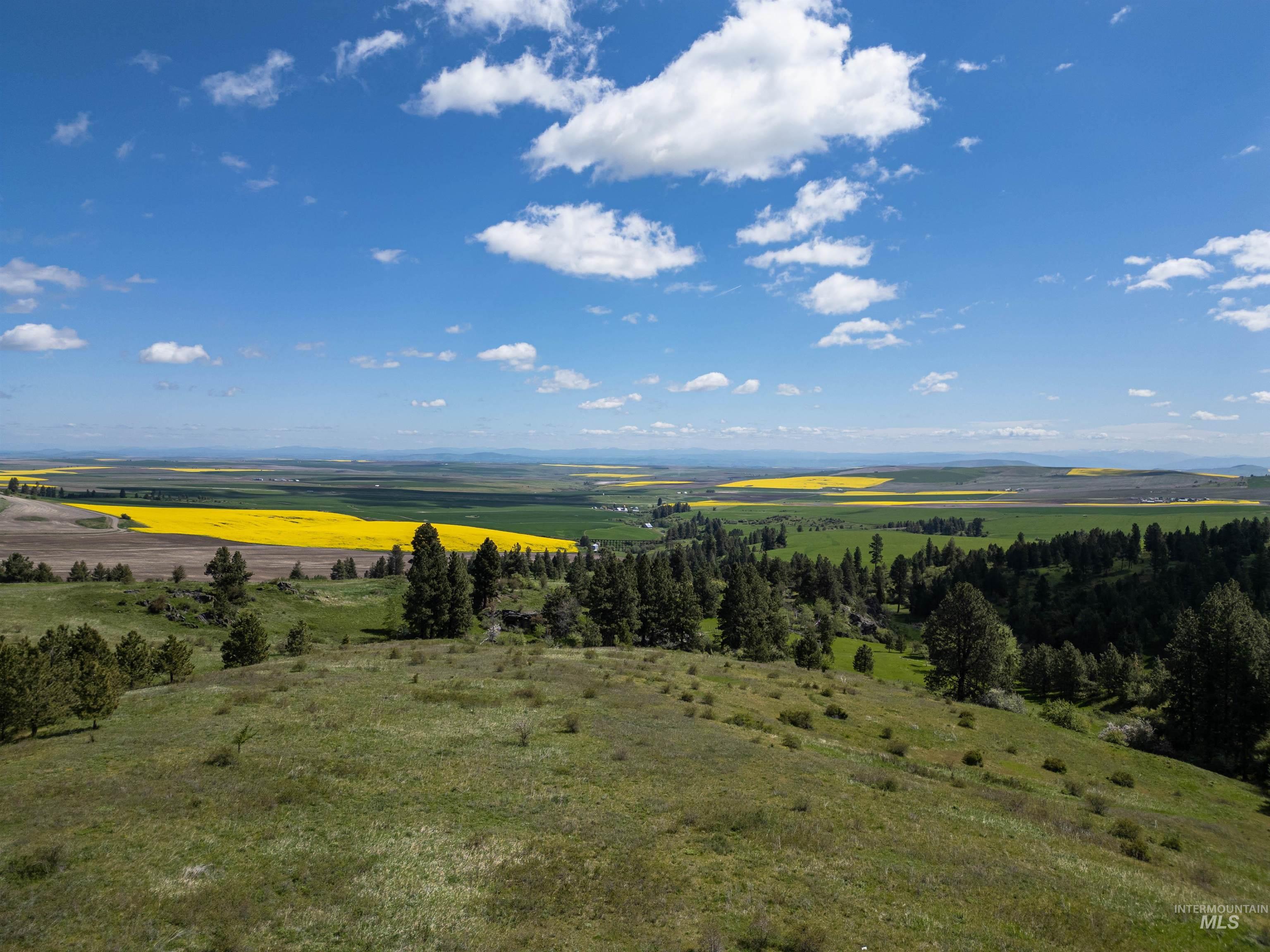 TBD Riggin Road, Ferdinand ID 83526