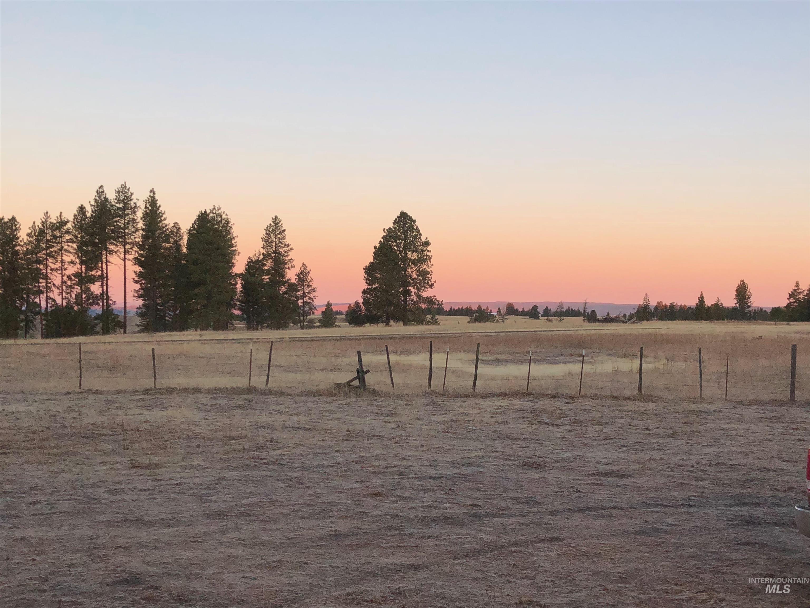 TBD Billy Creek Rd., CottonWood ID 83522