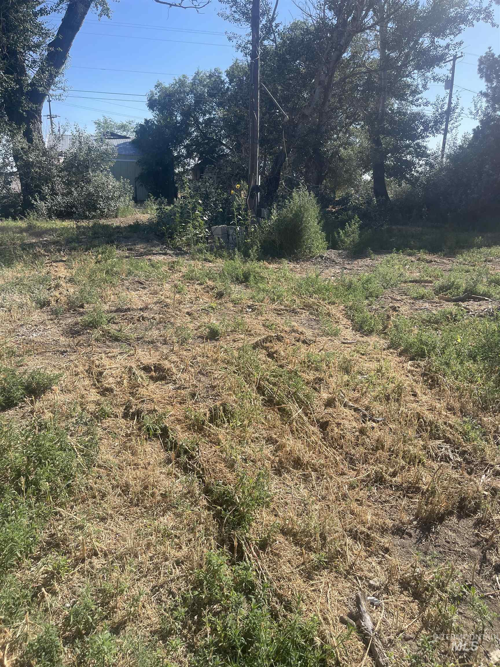 218 East D Street - Lots 1-3, Shoshone ID 83352