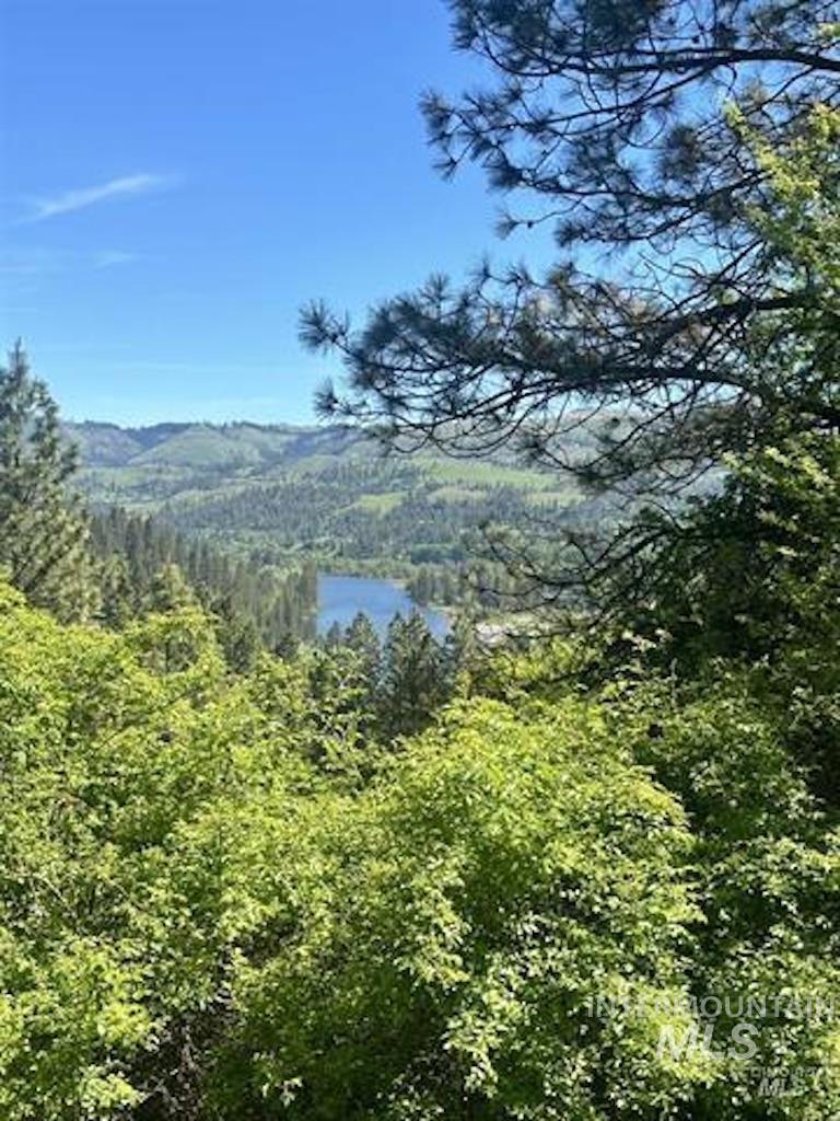 TBD River View Lane, Kamiah ID 83536