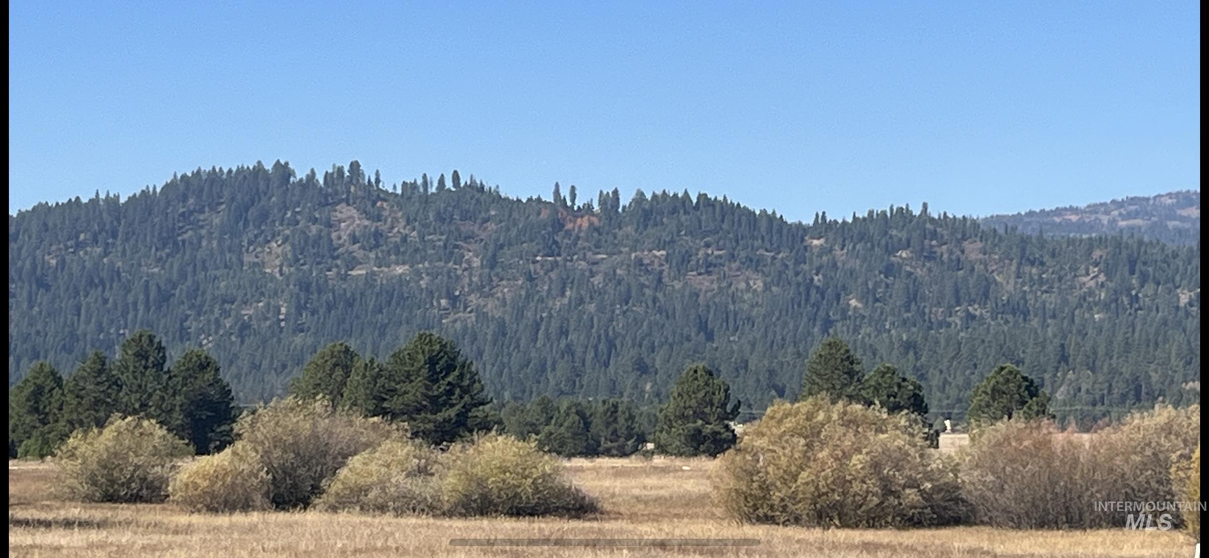 100 Herrick Lane, Cascade ID 83611