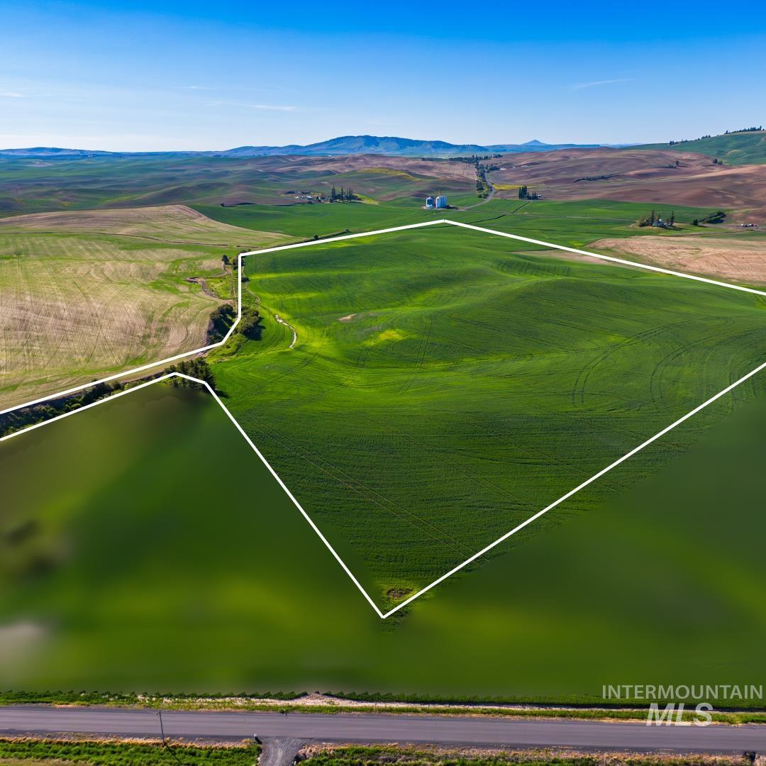 TBD/000 Mix Road, Moscow ID 83843