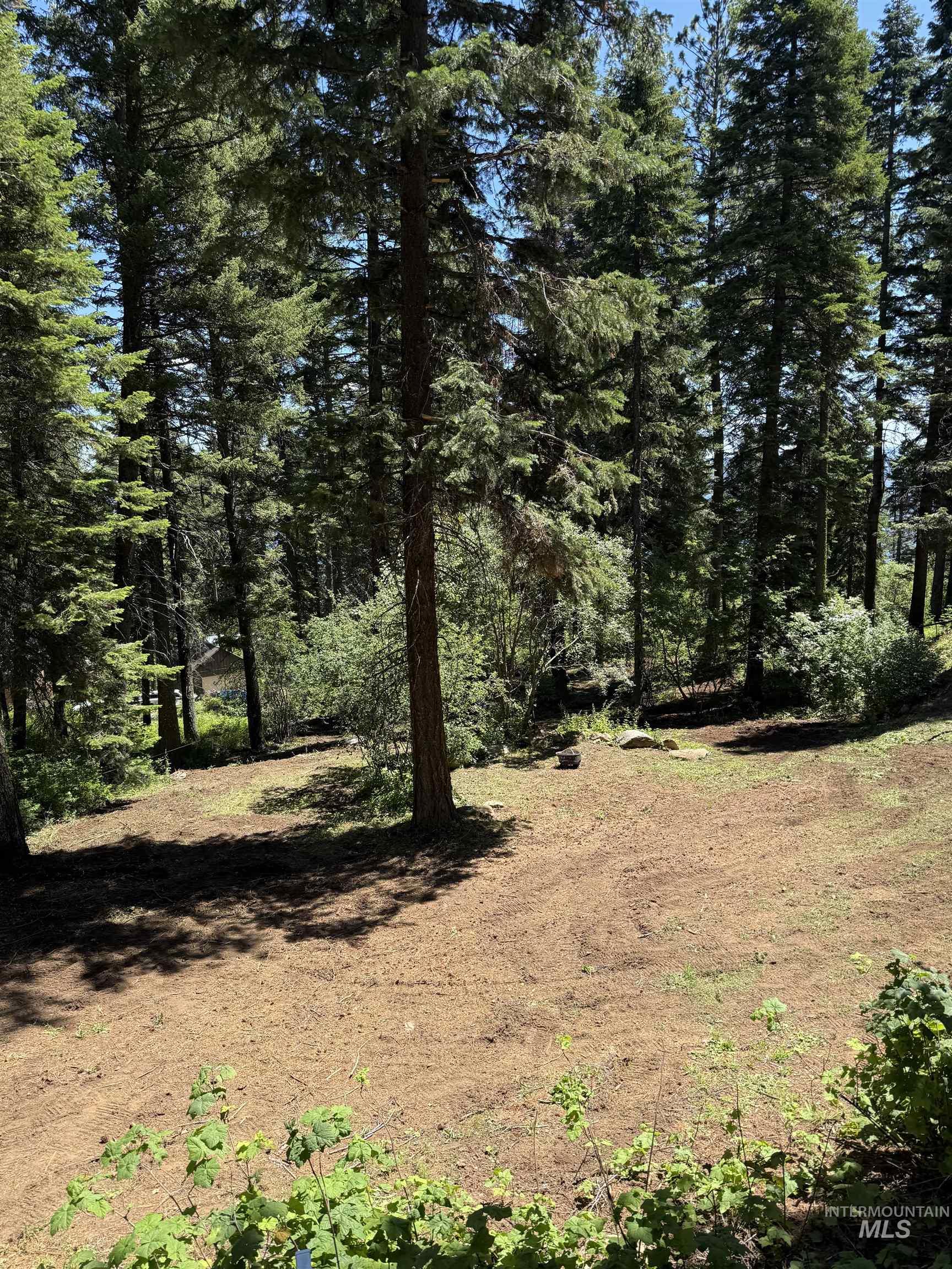 1204 Porcupine Road, Cascade ID 83611