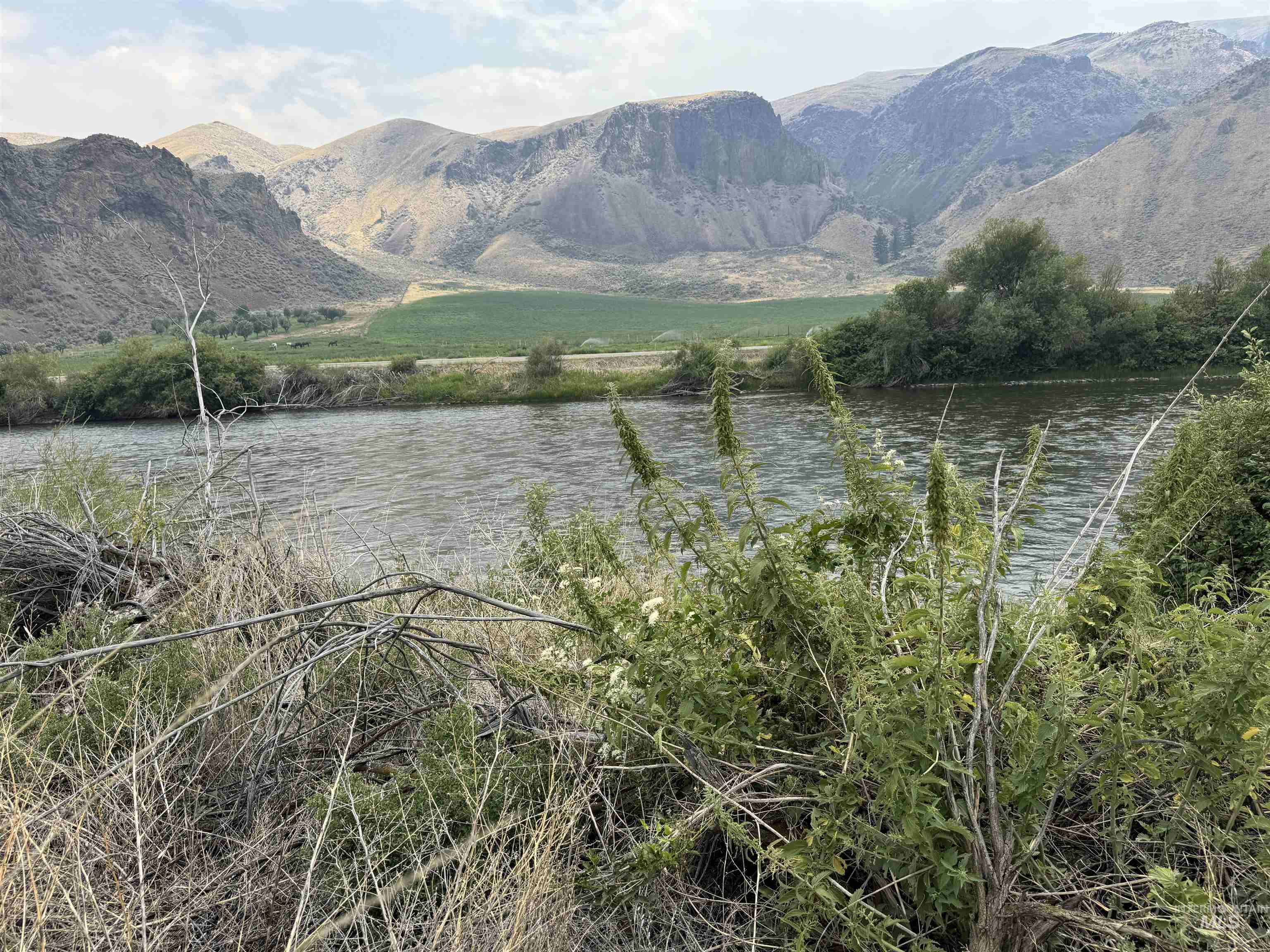 Salmon River Meadows Lot 62, Salmon ID 83467