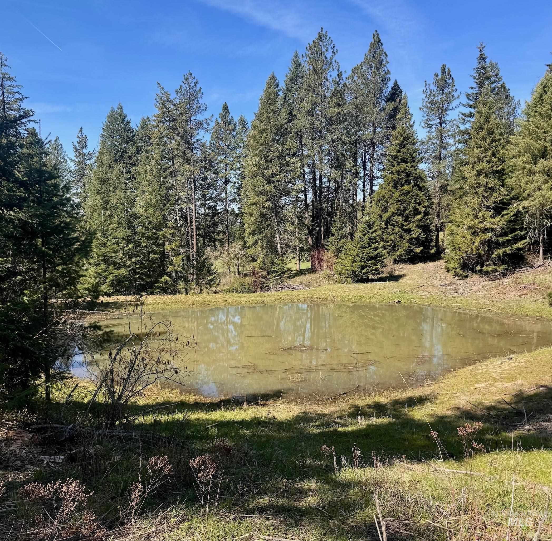 TBD Harris Ridge Rd, Kooskia ID 83539