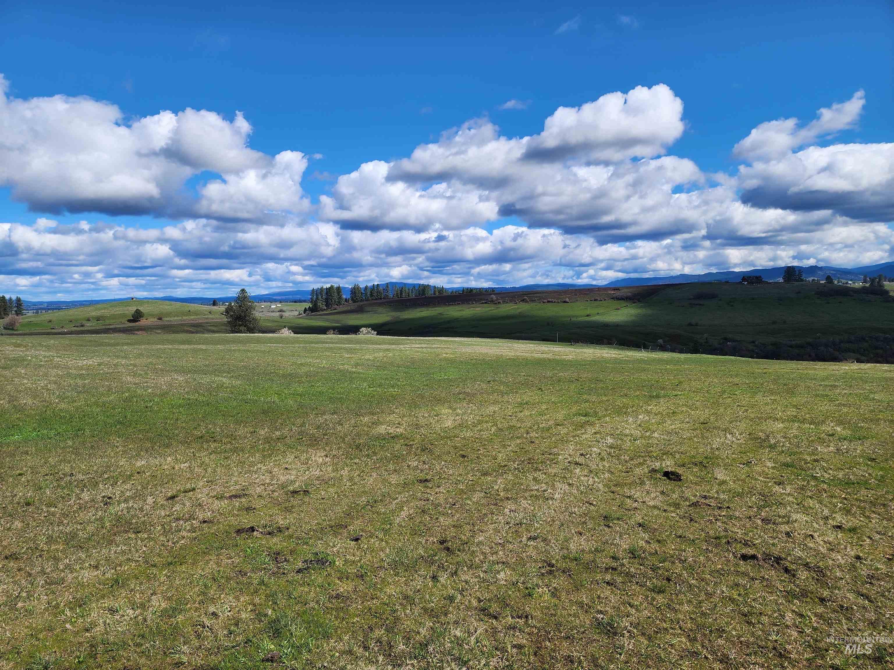 253 Brotnov Road Parcel 2, Clearwater ID 83552