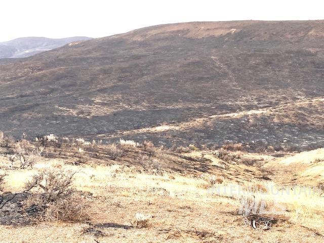 TBD Rock Creek #2, Weiser ID 83672