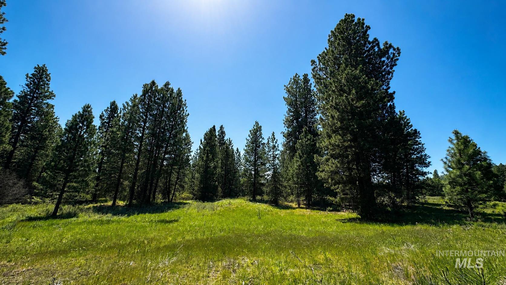 85 Nelsen Ave, Idaho City ID 83631