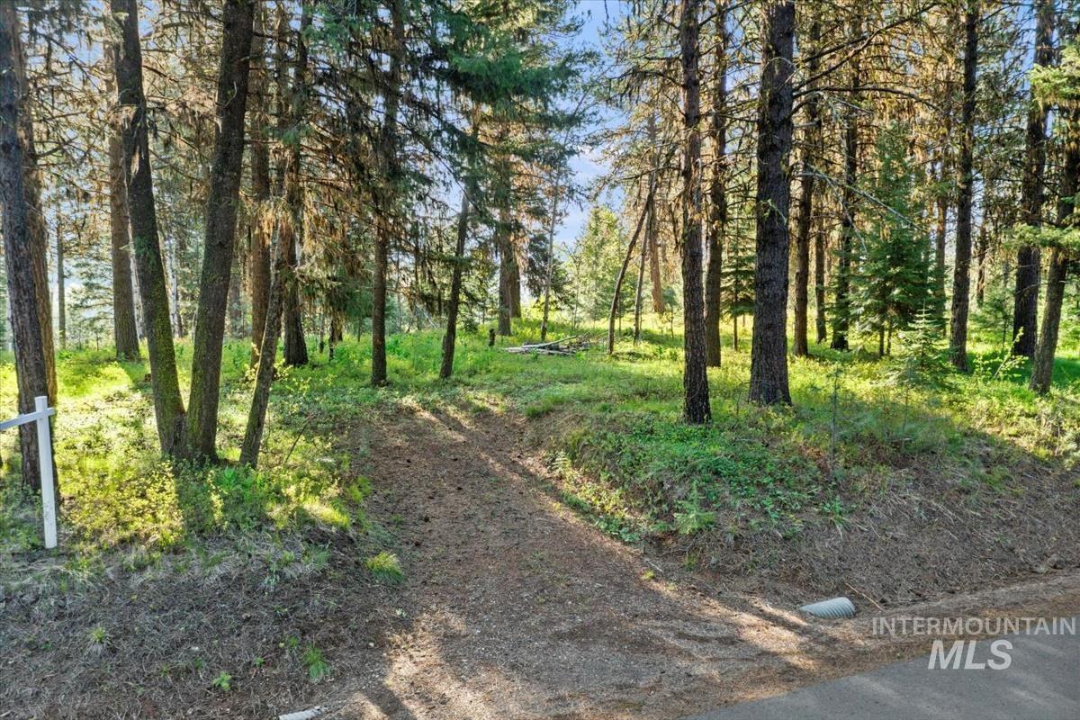 320 Blackhawk Lake Dr., McCall ID 83638