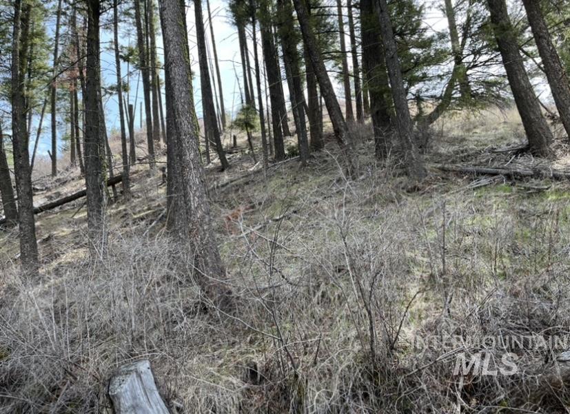 TBD State Highway 129, Anatone WA 99401