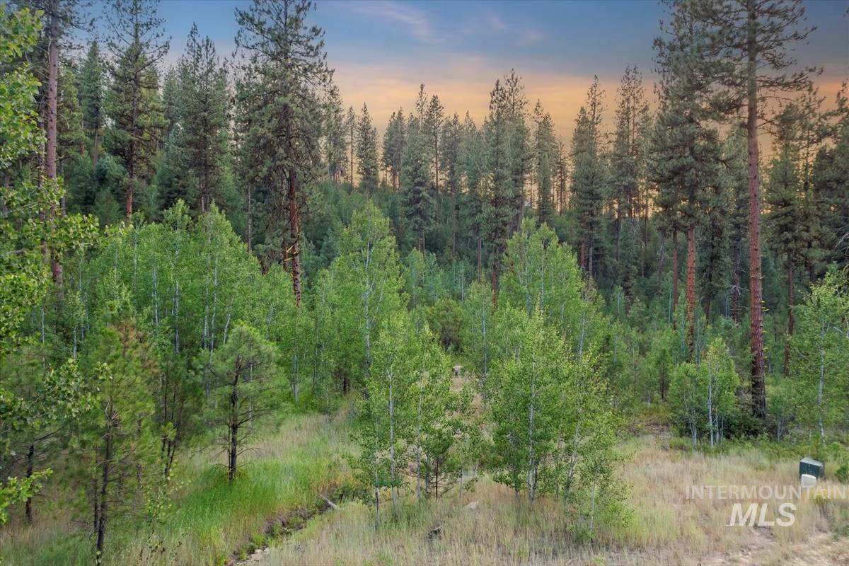 Lot 12 Shaw Gulch Road, Idaho City ID 83631