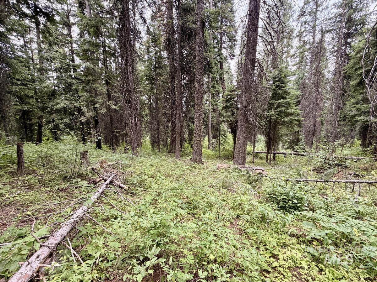 56 Burnt Wagon Trail, Donnelly ID 83615