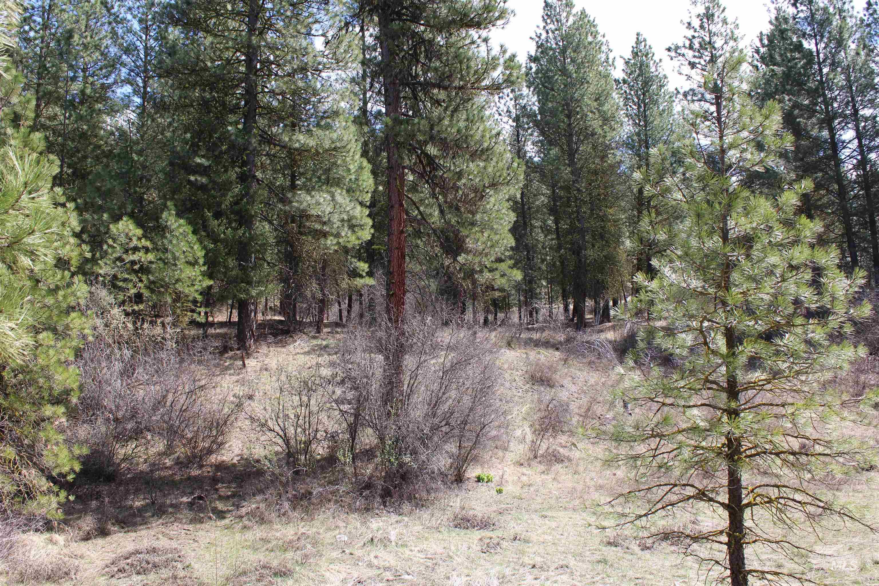 lot 19 blk 1 Creekside At Cross Timber Ranch, Garden Valley ID 83622