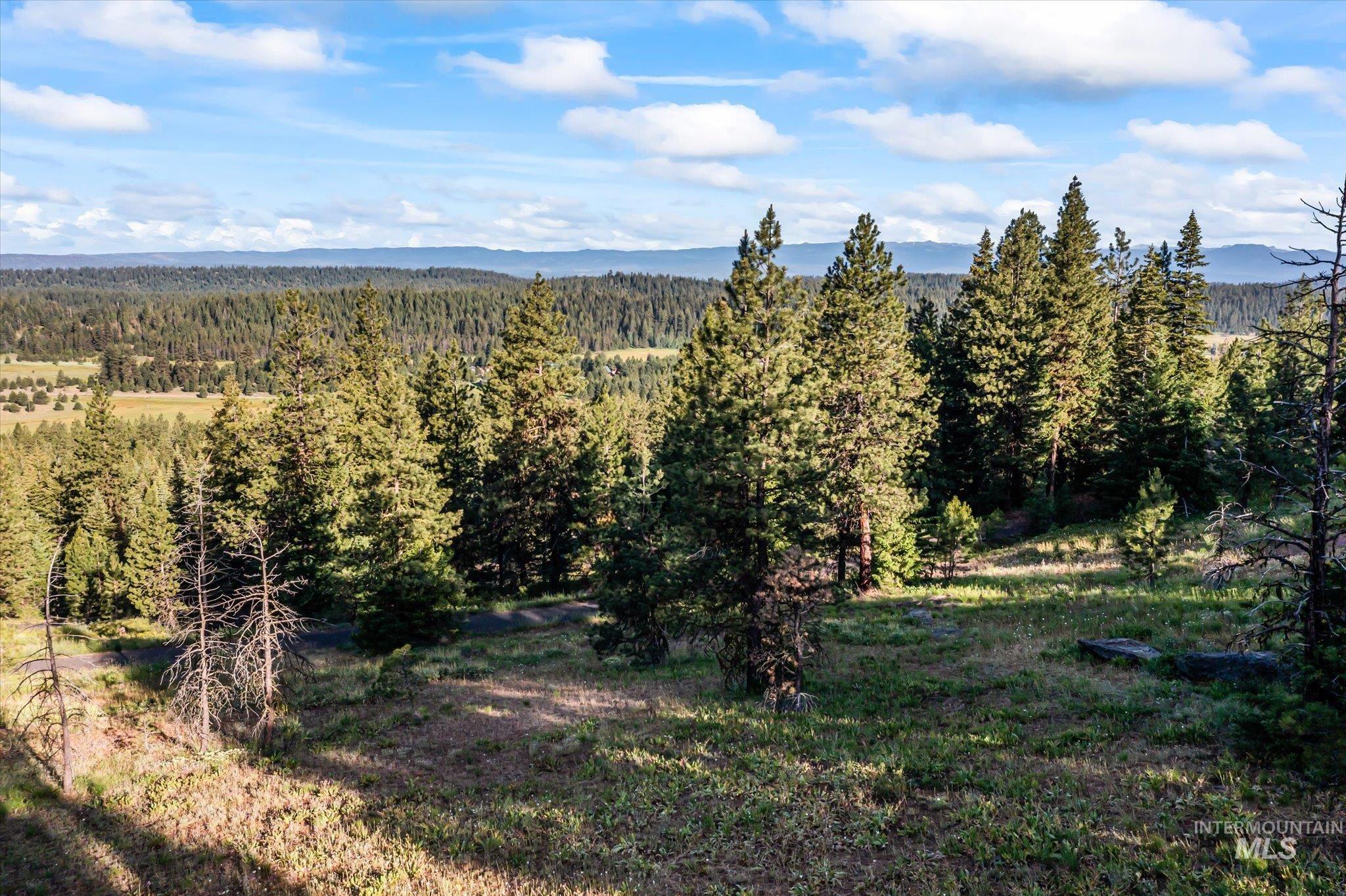 Lot 15 Harrington Pl, McCall ID 83638