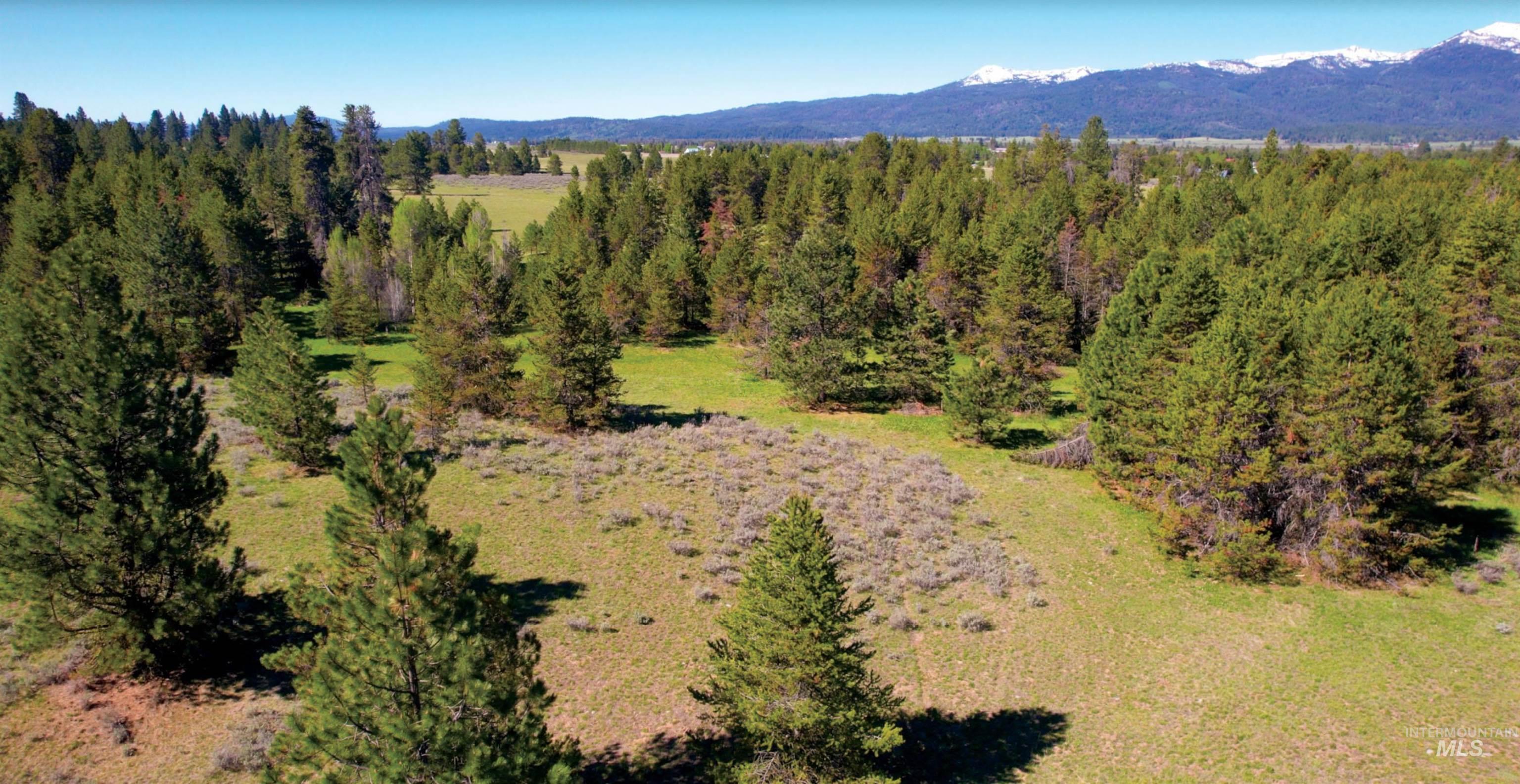 ±320 acres Big Creek Meadows, Cascade ID 83611