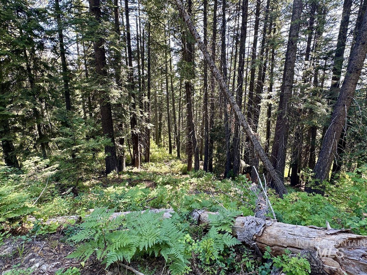 37 Arling Trail, Donnelly ID 83615