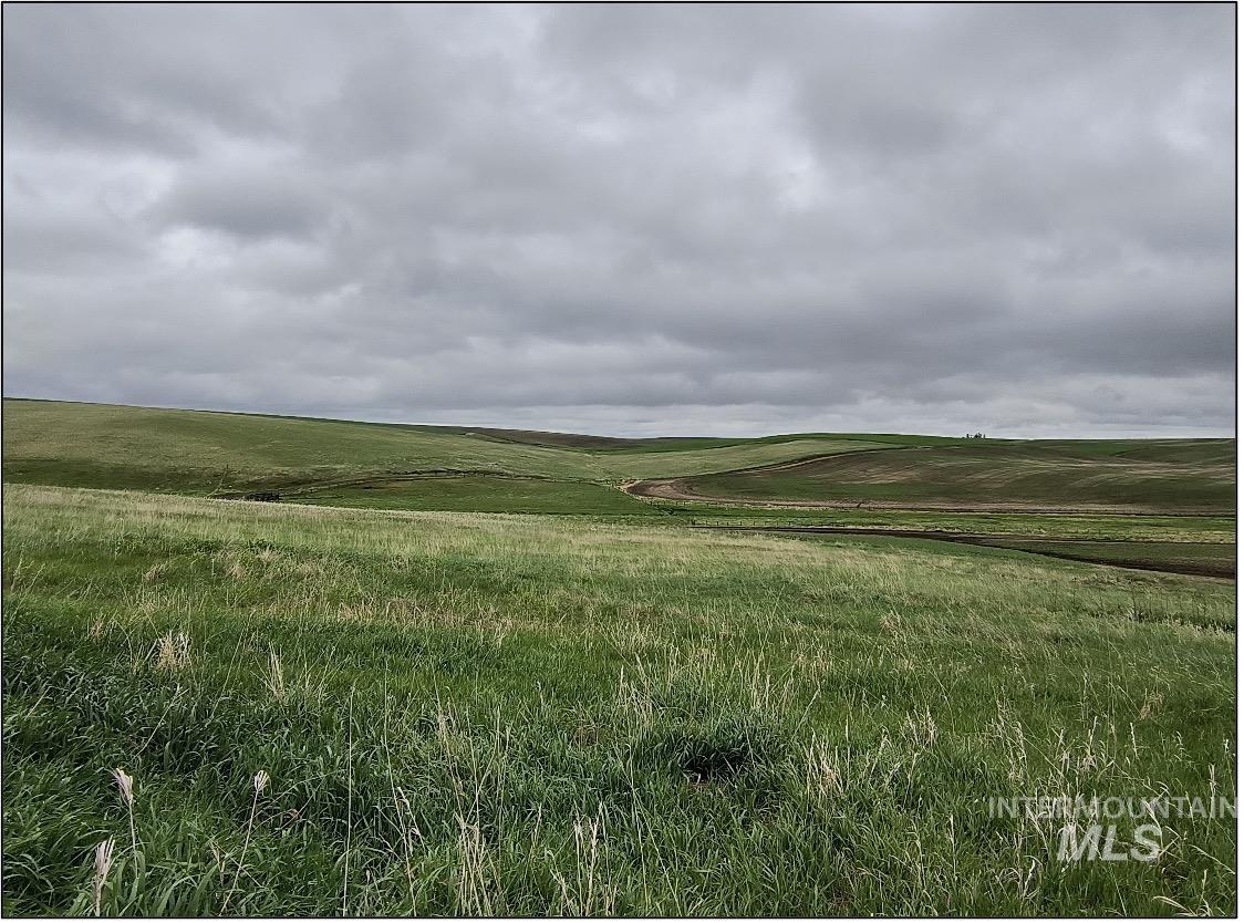 TBD Meade Road, Nezperce ID 83543