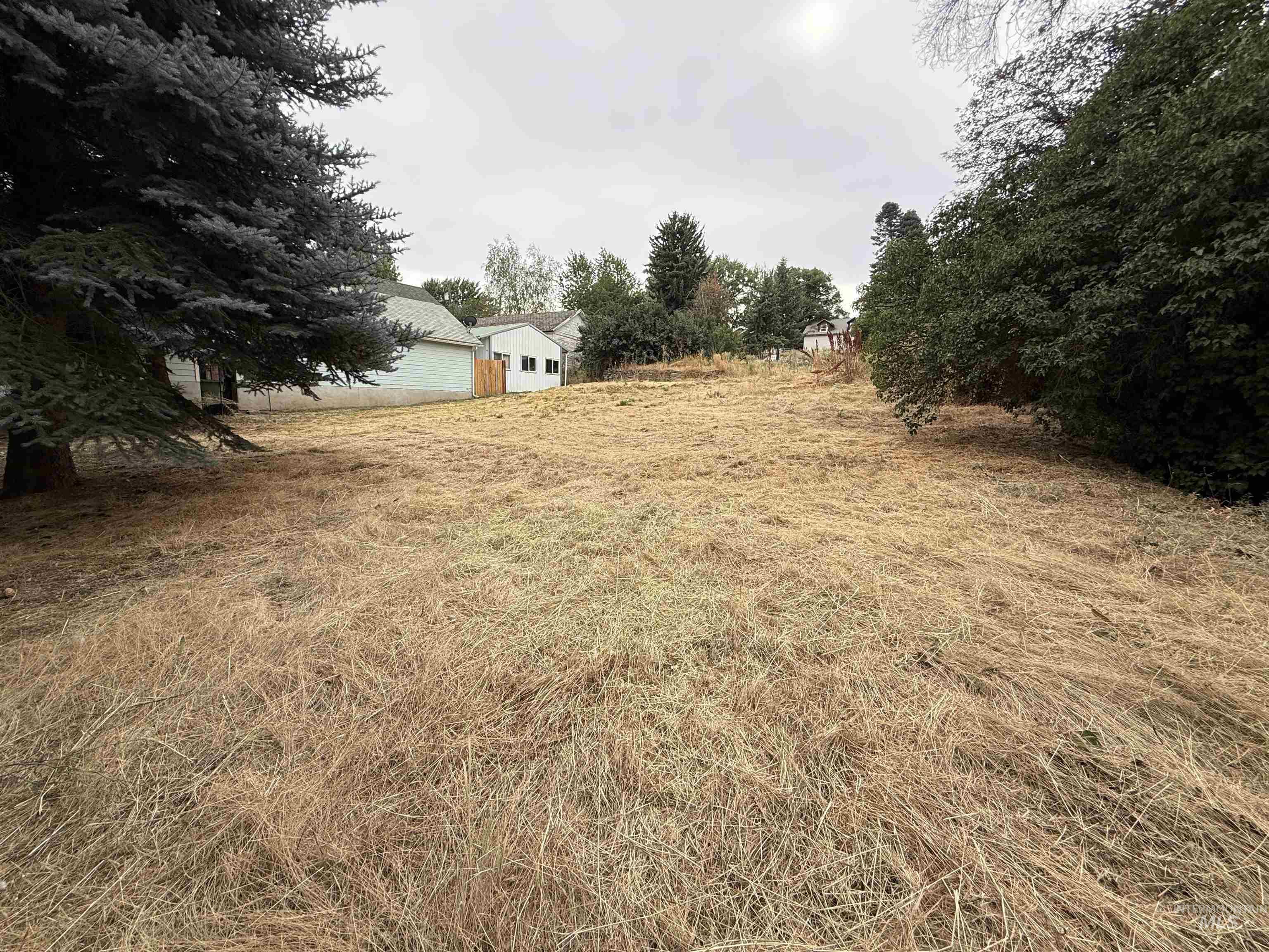 TBD S Montgomery St, Uniontown WA 99179