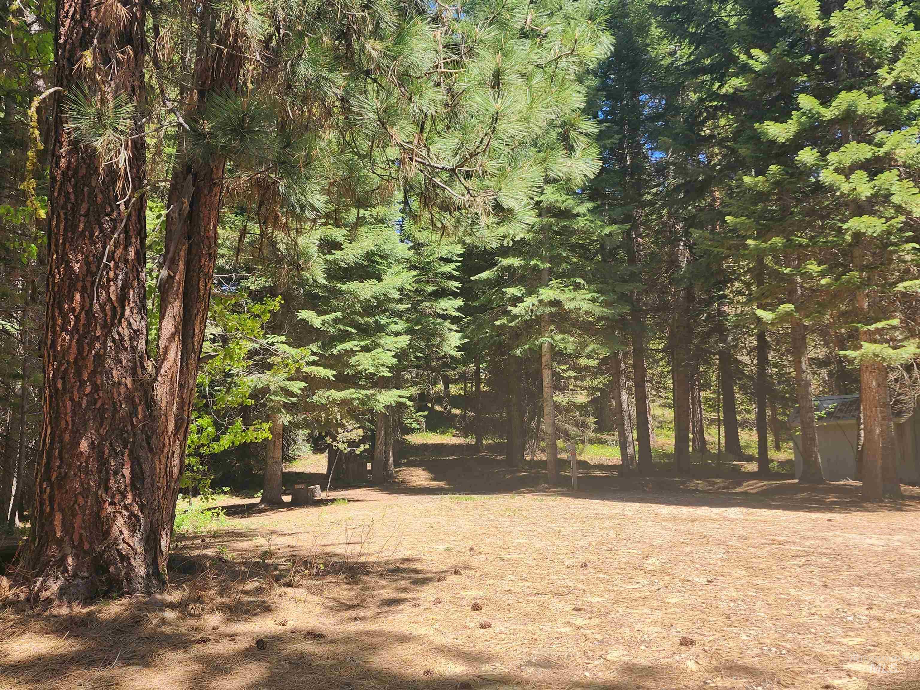 9544 Packer John Rd, Cascade ID 83611